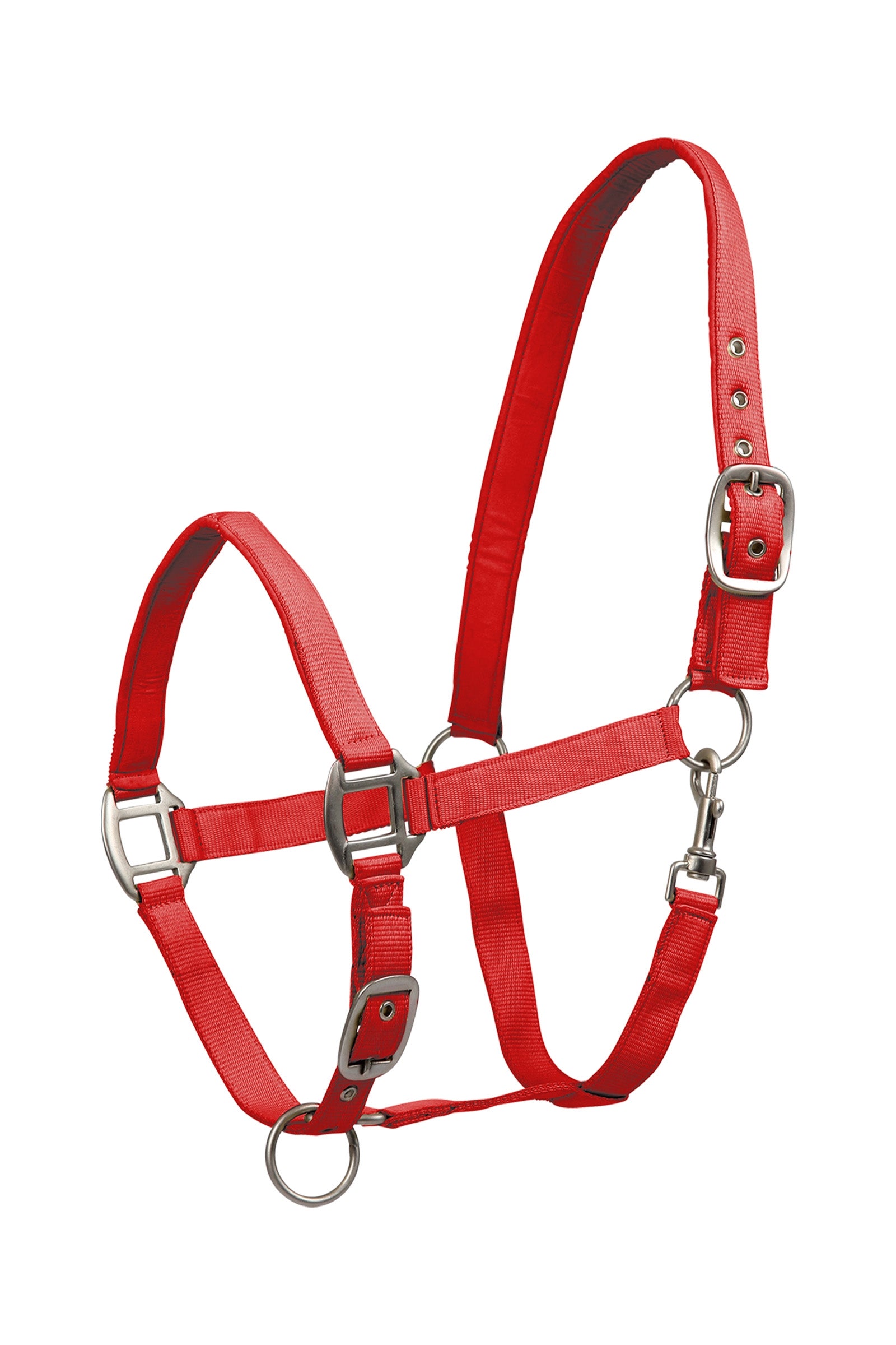 Waldhausen Perlon Satin Halter Halters & Leads