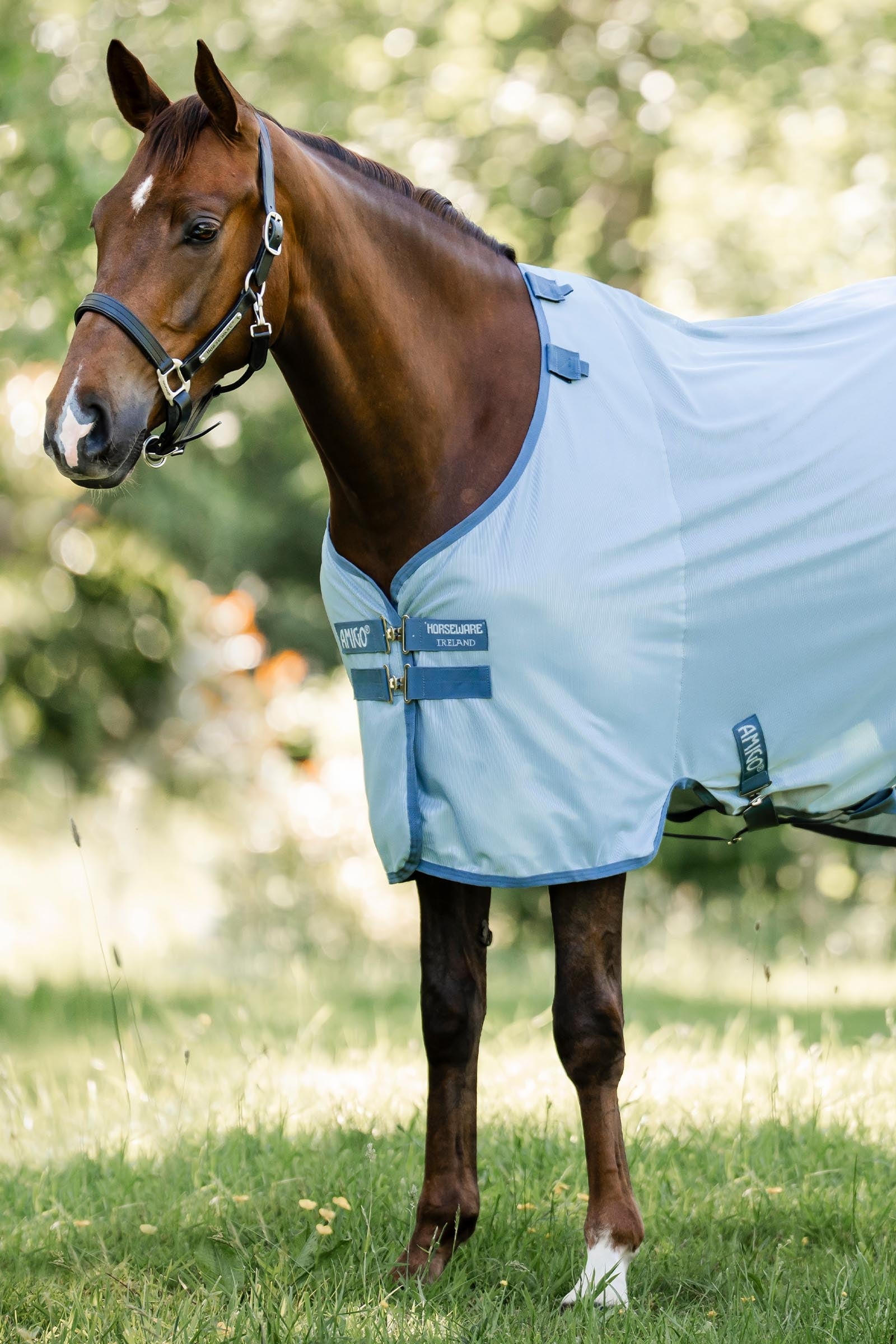 Horseware Amigo Fliegendecke mit UV-Schutz Pferdedecken
