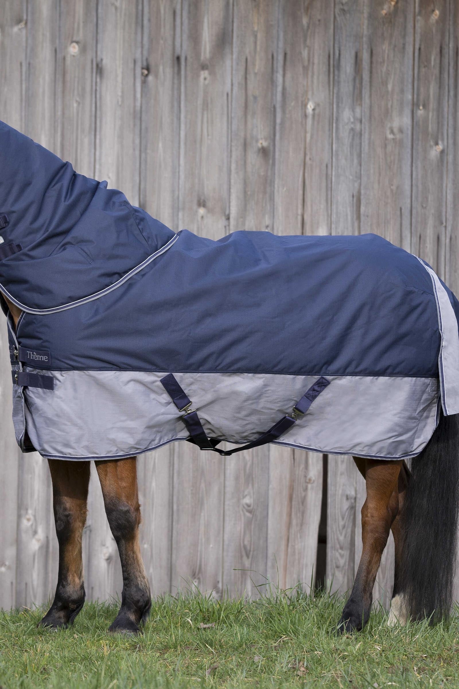 Equi Theme EQUITHÈME TYREX 600D Turnout Rug, 450 g Horse Rugs