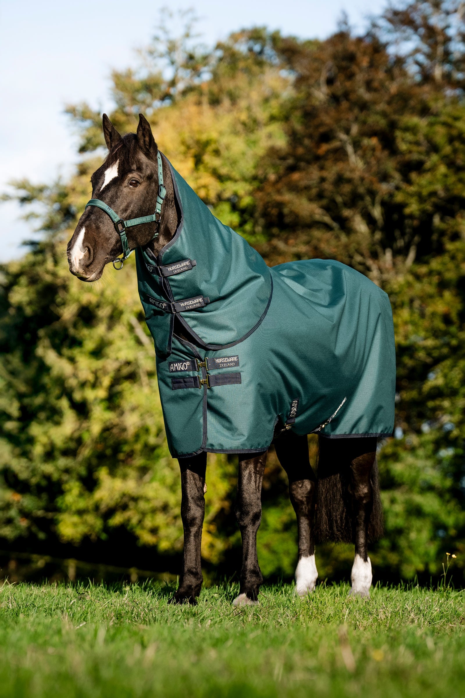 Horseware Amigo Ripstop 900D Plus Pony-Outdoordecke, 200 g Pferdedecken