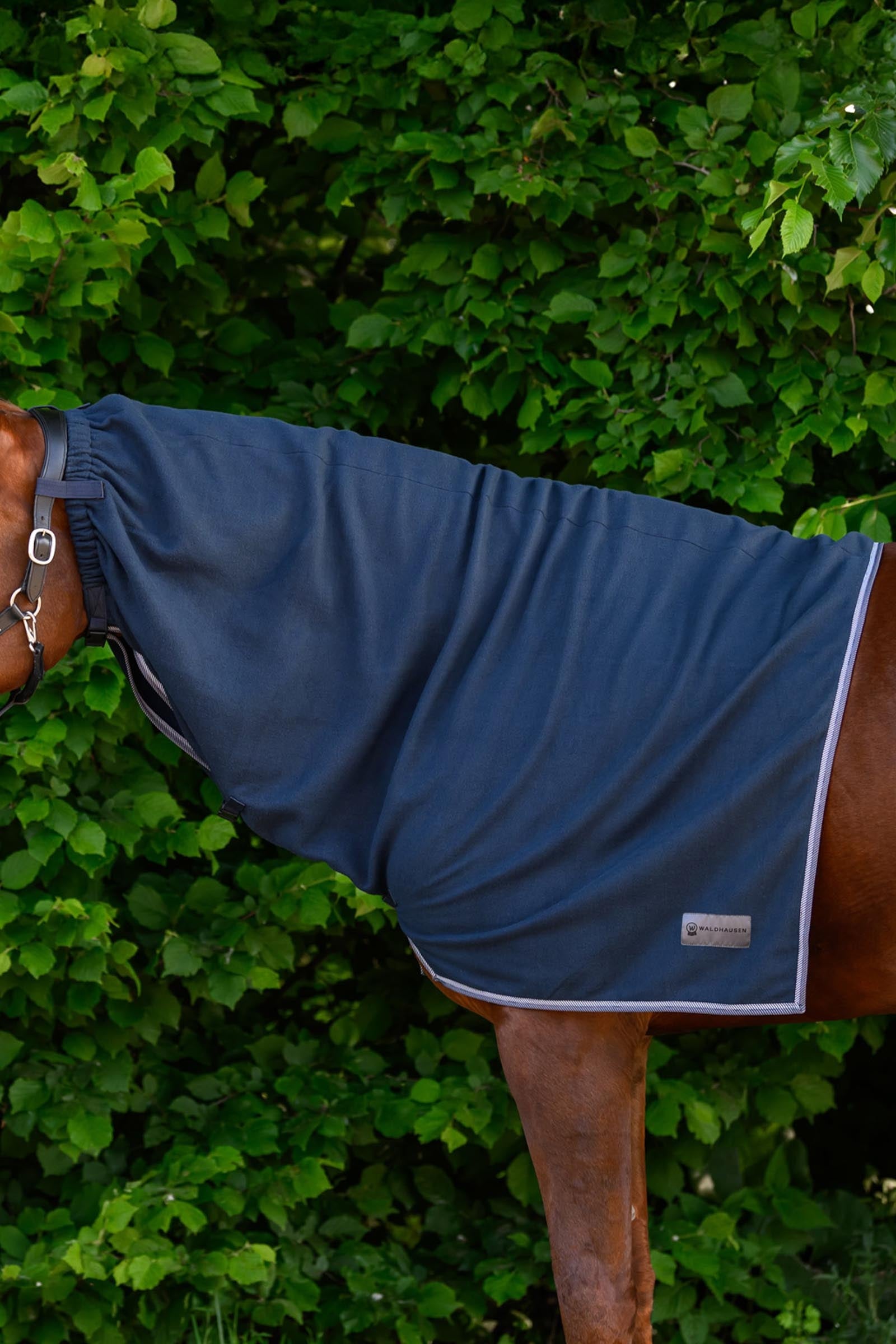 Waldhausen ECONOMIC Fleece Neck Rug Horse Rugs