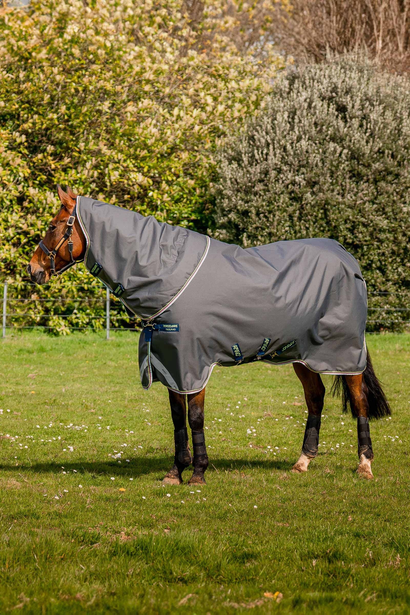 Horseware Amigo Bravo 12 Plus Weidedecke, 250 g Pferdedecken