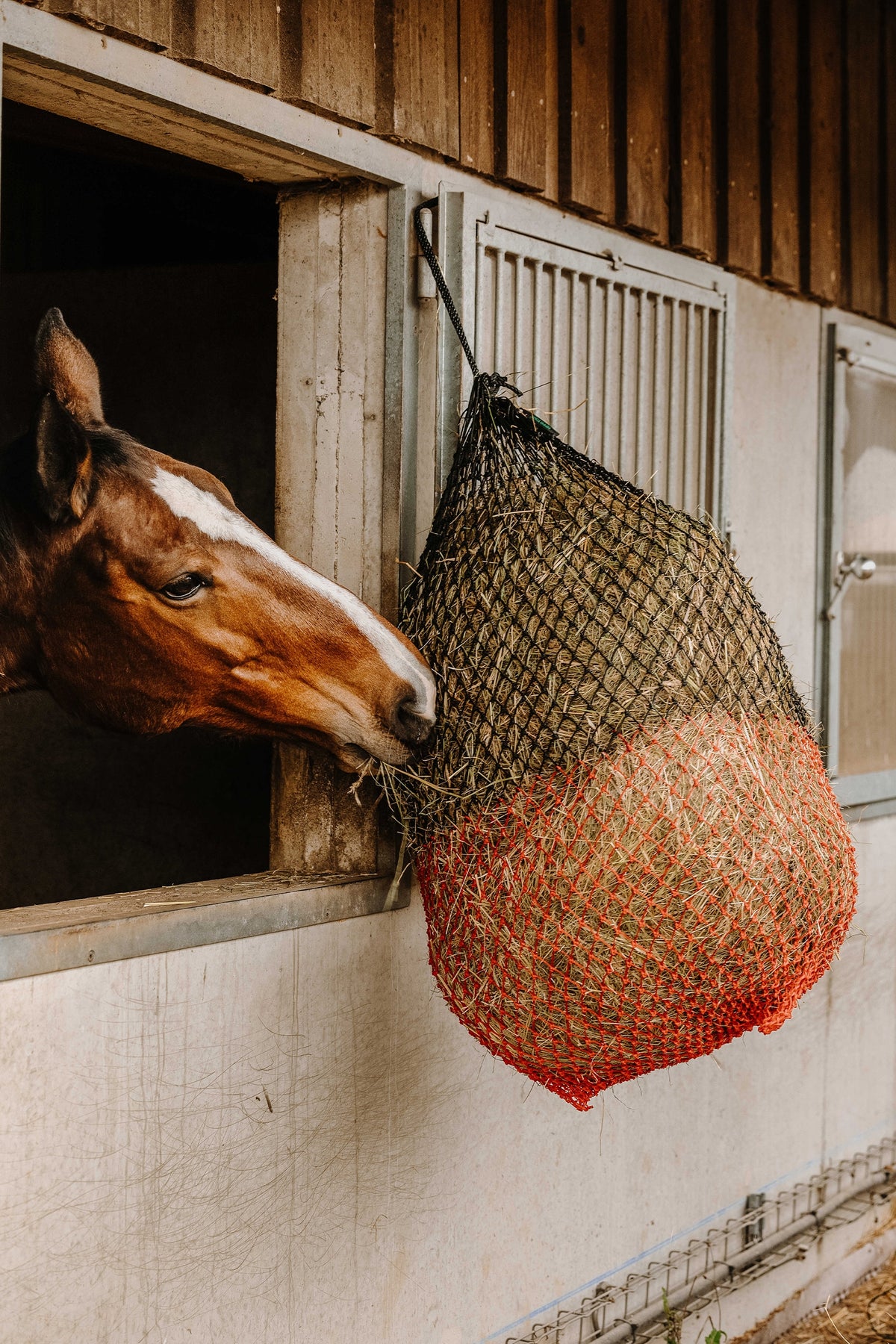 HIPPOTONIC Fin Hay Net (125 cm) Horse Feeders & Waterers