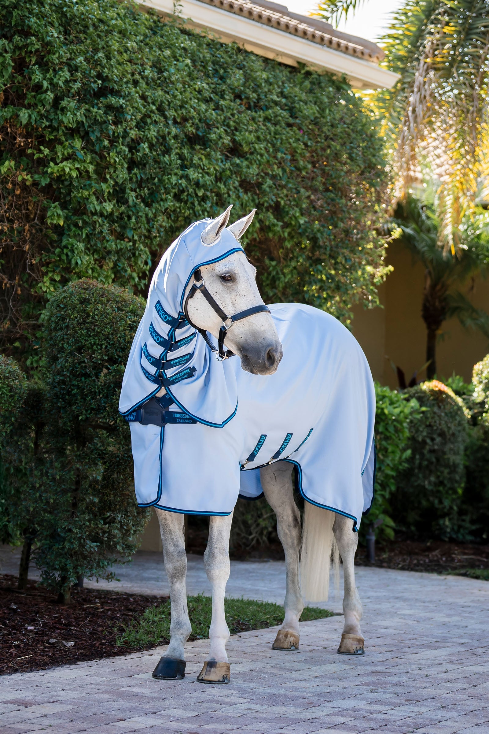 Horseware Amigo Ripstop Fliegendecke Pferdedecken