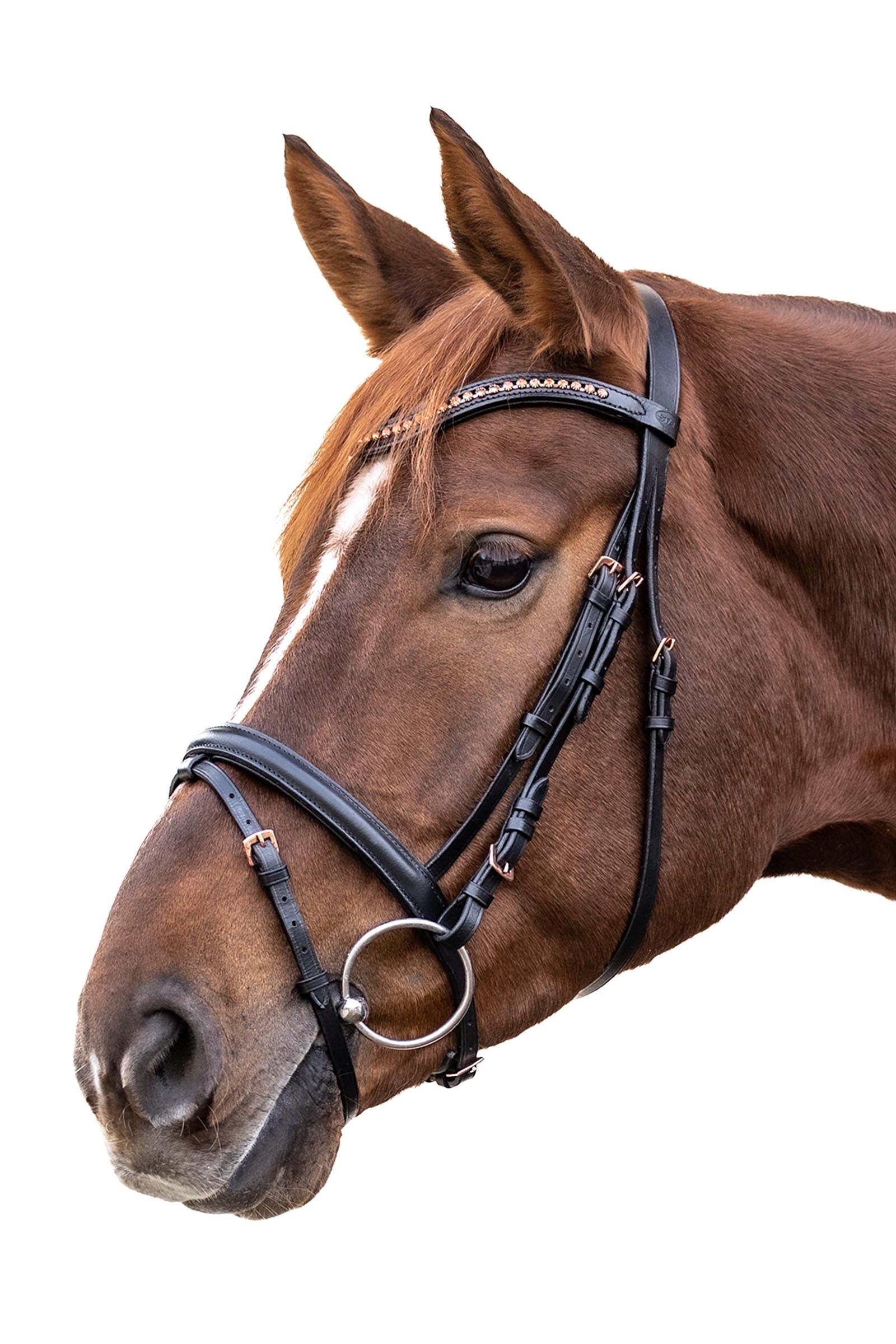 Star Rosemary English Combinded Bridle Bridles & Reins
