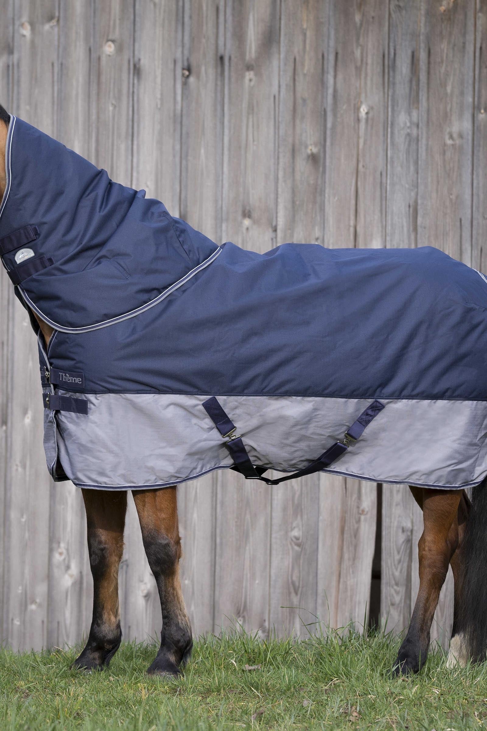 Equi Theme EQUITHÈME TYREX 600D Turnout Rug, 300 g Horse Rugs