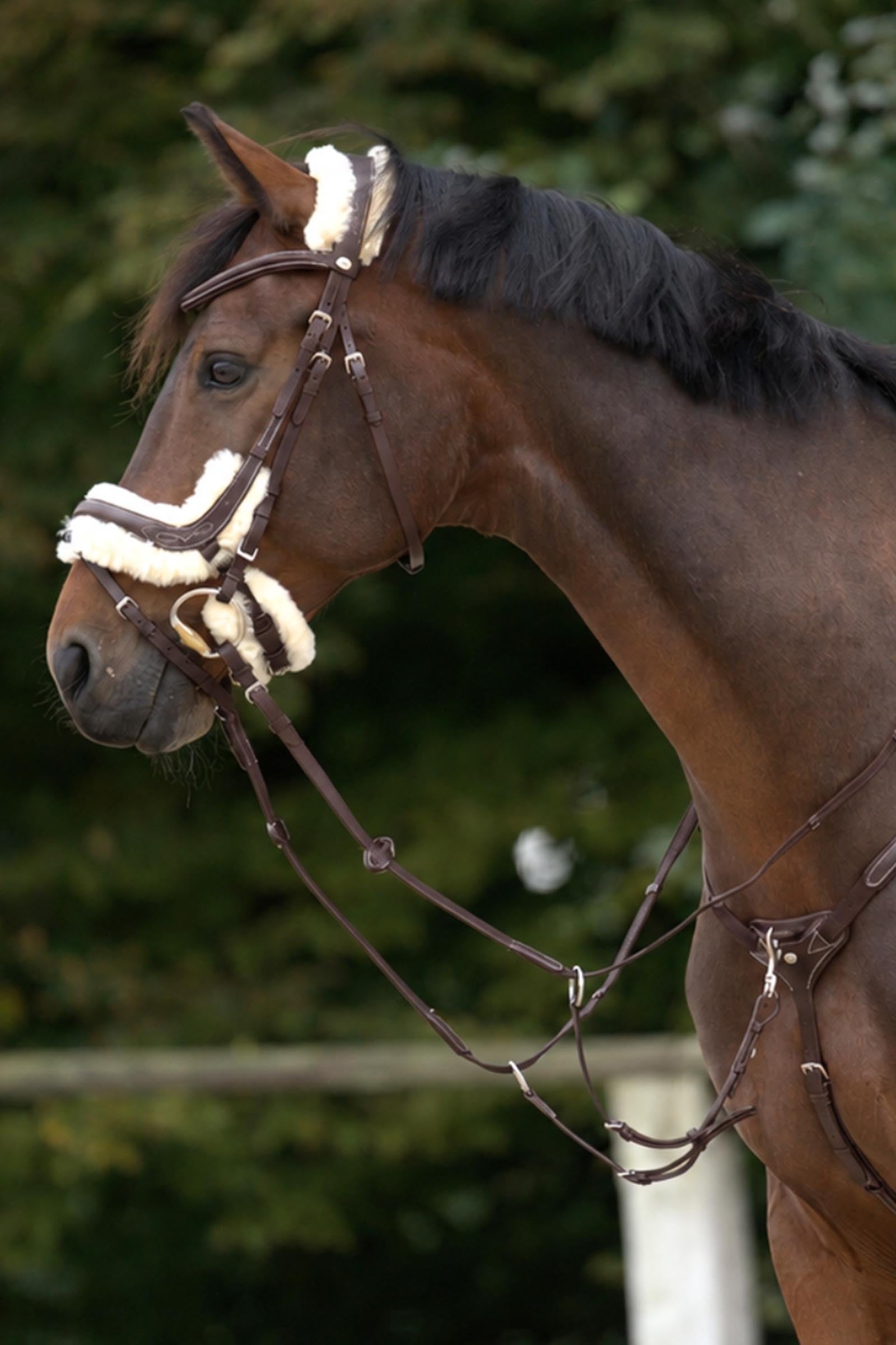 Kavalkade Bianca 5-Pt. Breastplate With Elastic Bridles & Reins