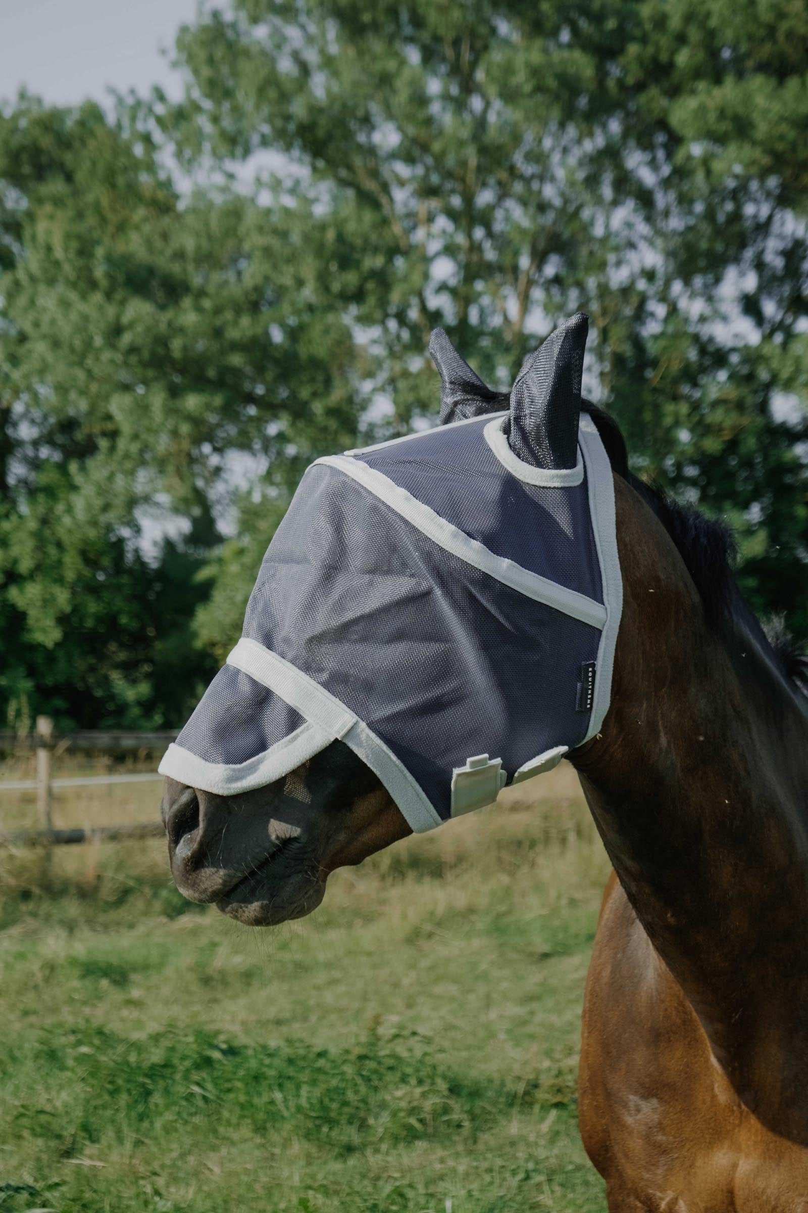 Equi Theme EQUITHÈME Cerceau Fly Mask/ UV Mask Antifly Protection for Horses