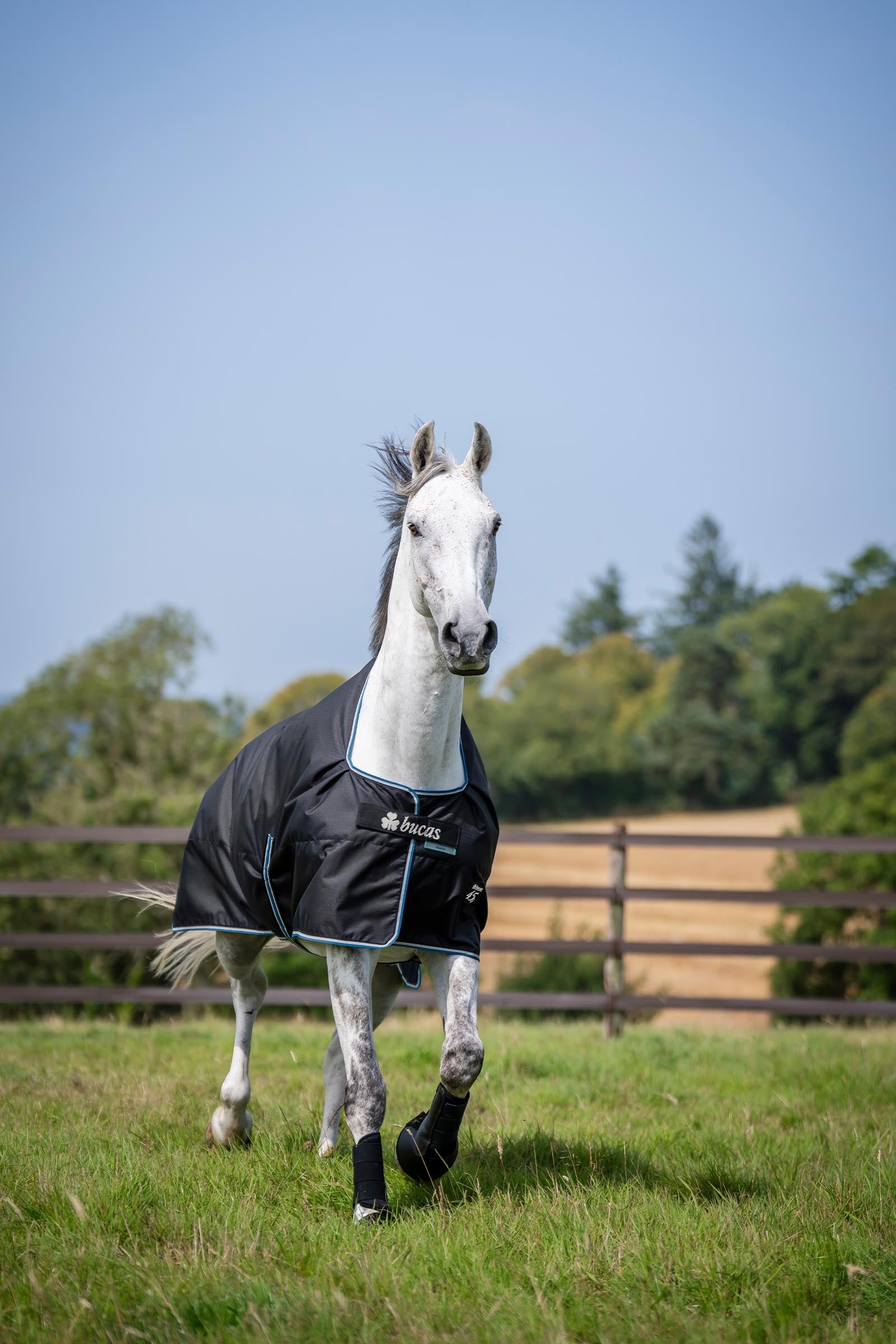 Bucas Anniversary SD Light Rain Turnout Rug, 0g Horse Rugs