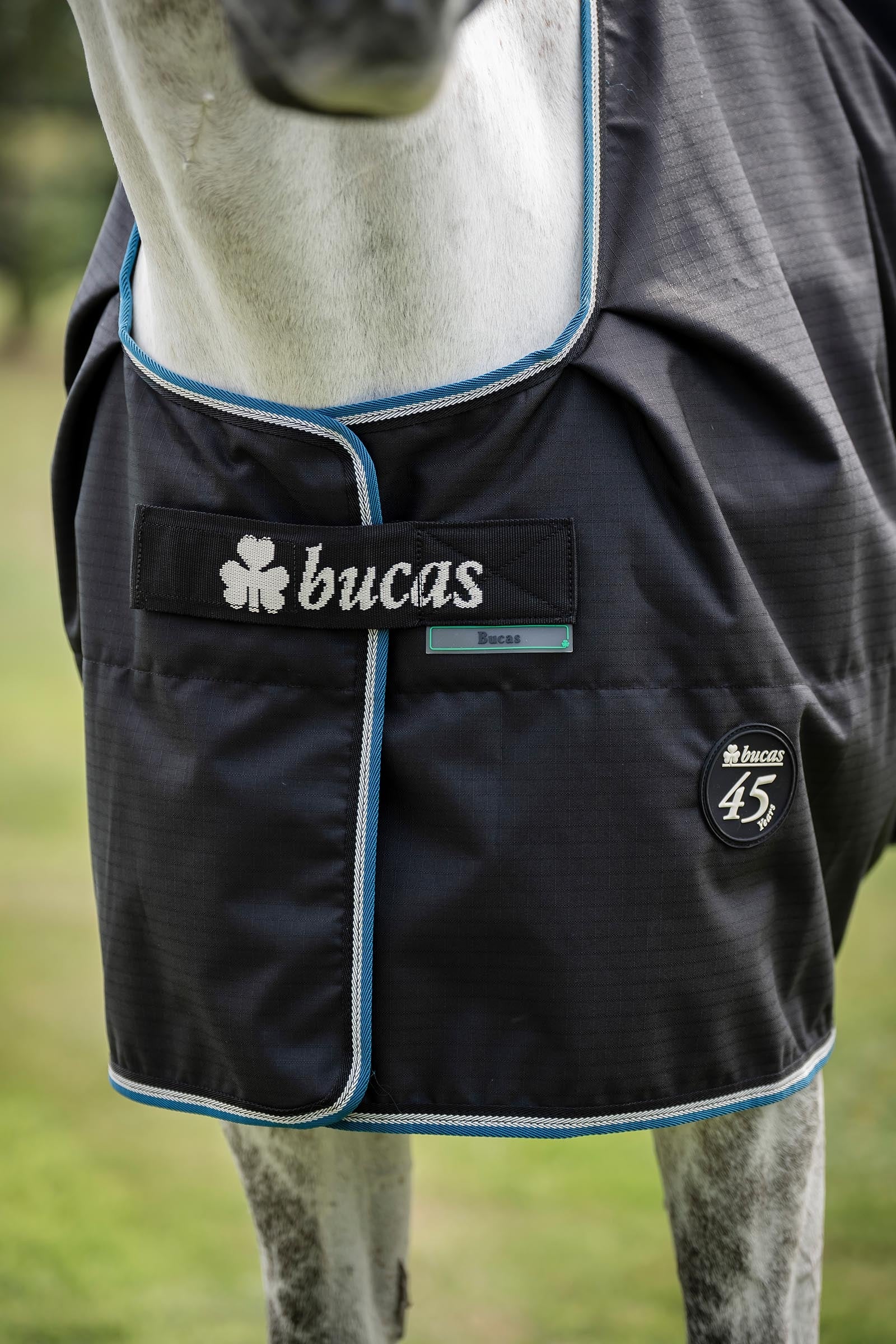 Bucas Anniversary SD Light Rain Turnout Rug, 0g Horse Rugs