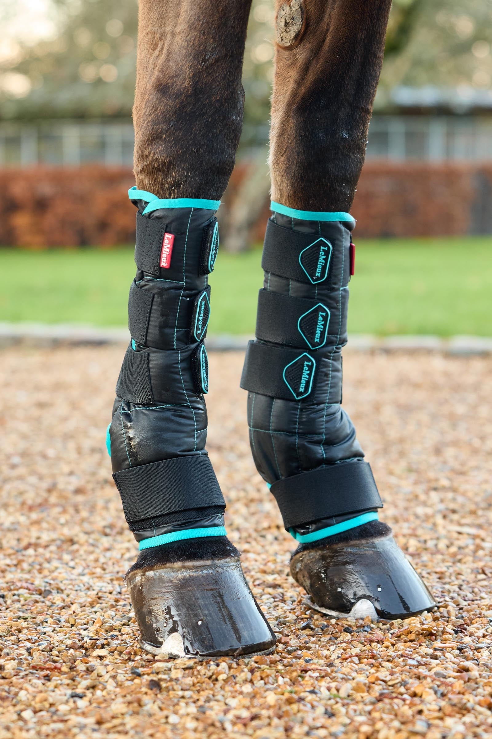 LeMieux Crystal Cool Water Boots Leg & Hoof Protection
