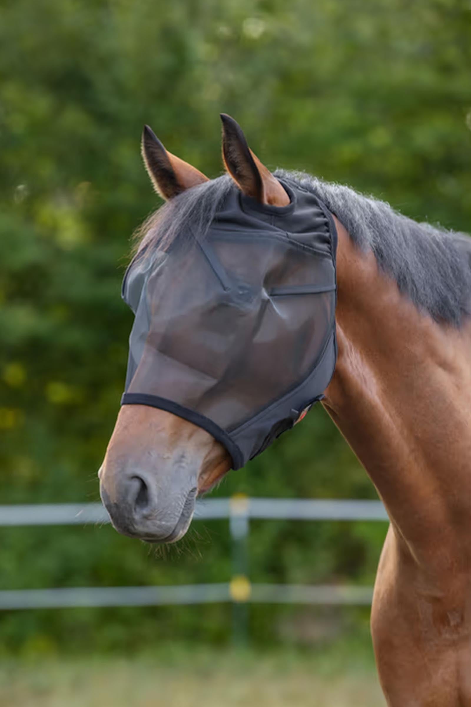 Covalliero Fly Mask For Horse Without Nose Antifly Protection for Horses
