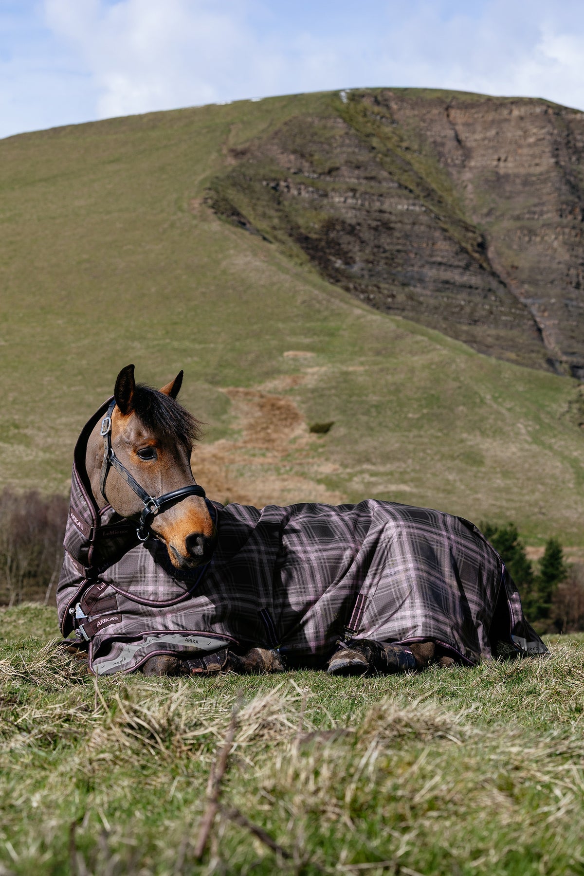 LeMieux Arika Heritage Check Turnout Rug, 100 g Horse Rugs