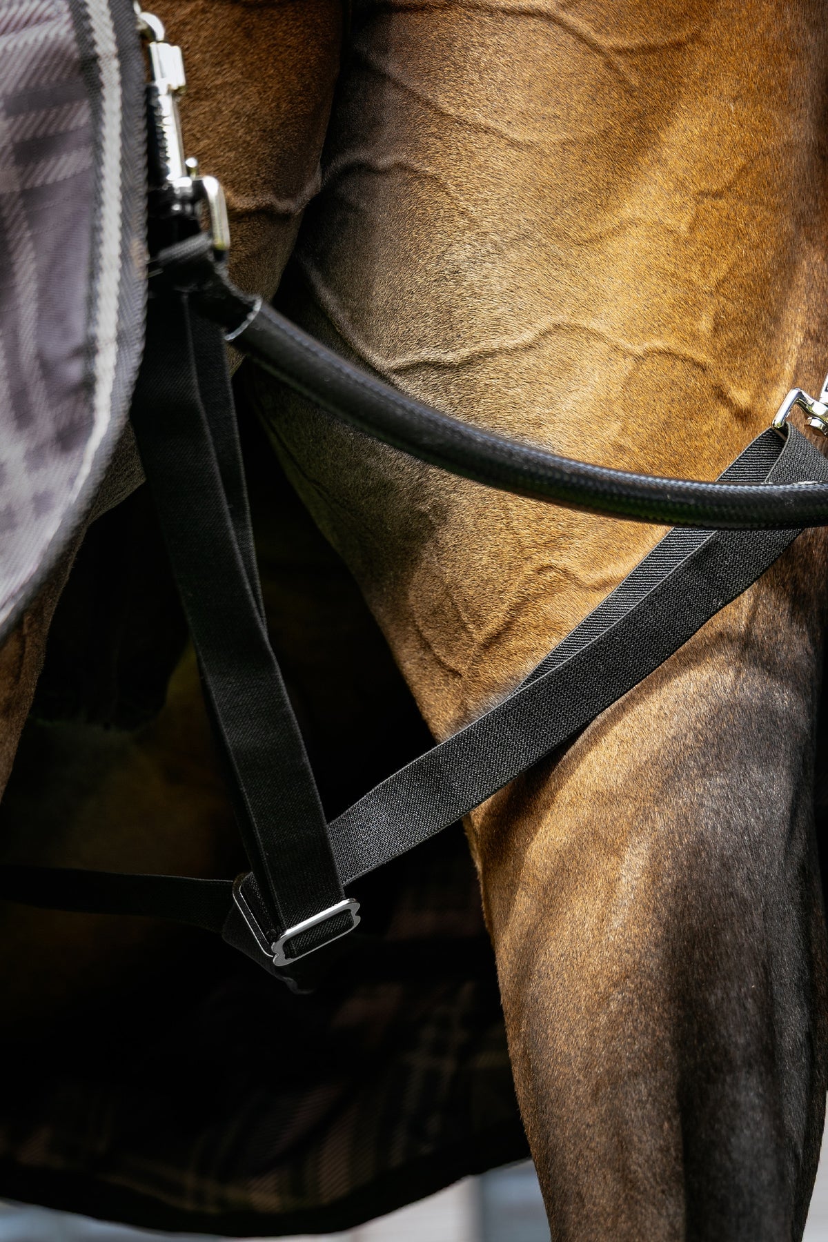 LeMieux Arika Heritage Check Turnout Rug, 100 g Horse Rugs