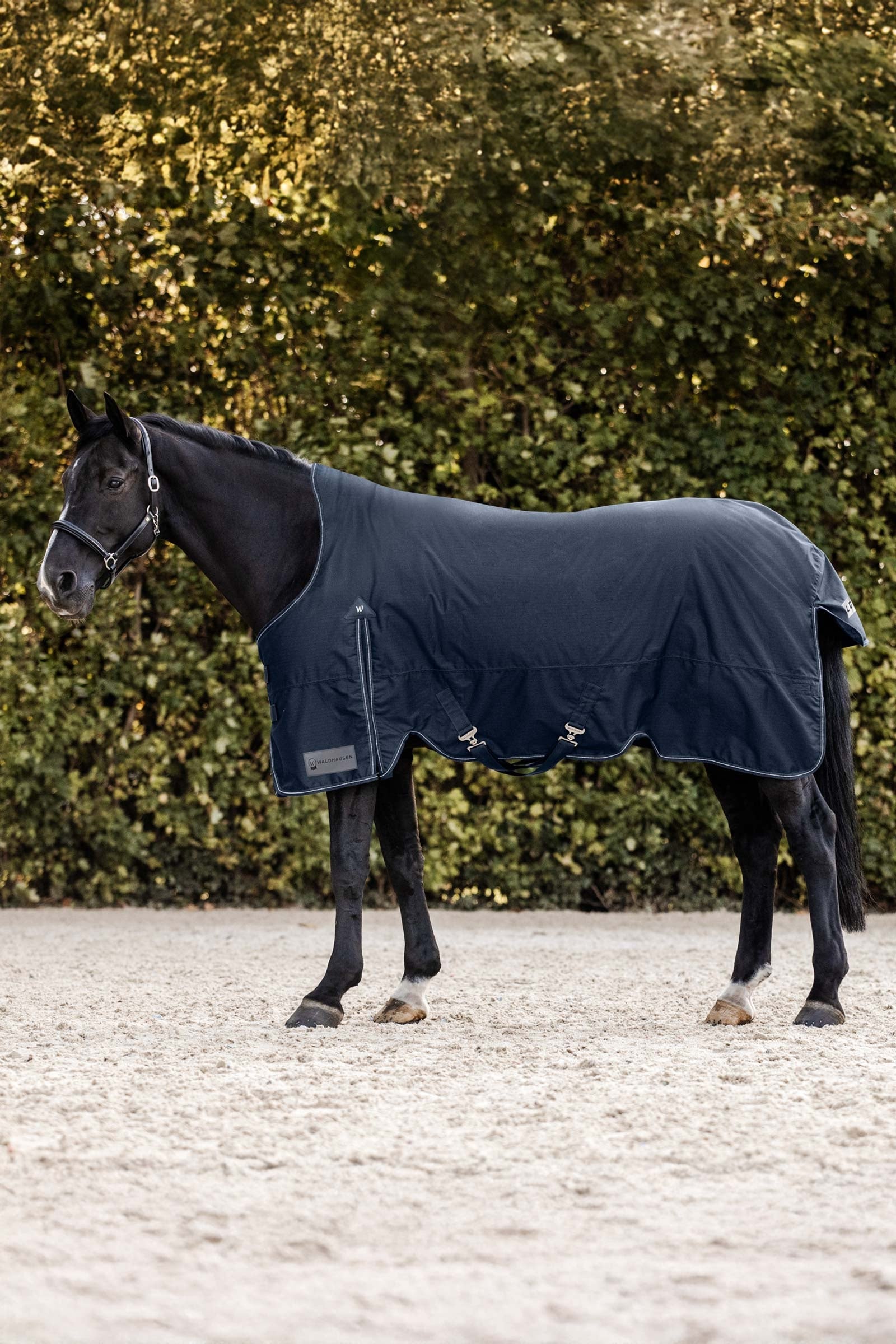 Waldhausen Arctic Turnout Rug With High Neck, 0g Horse Rugs