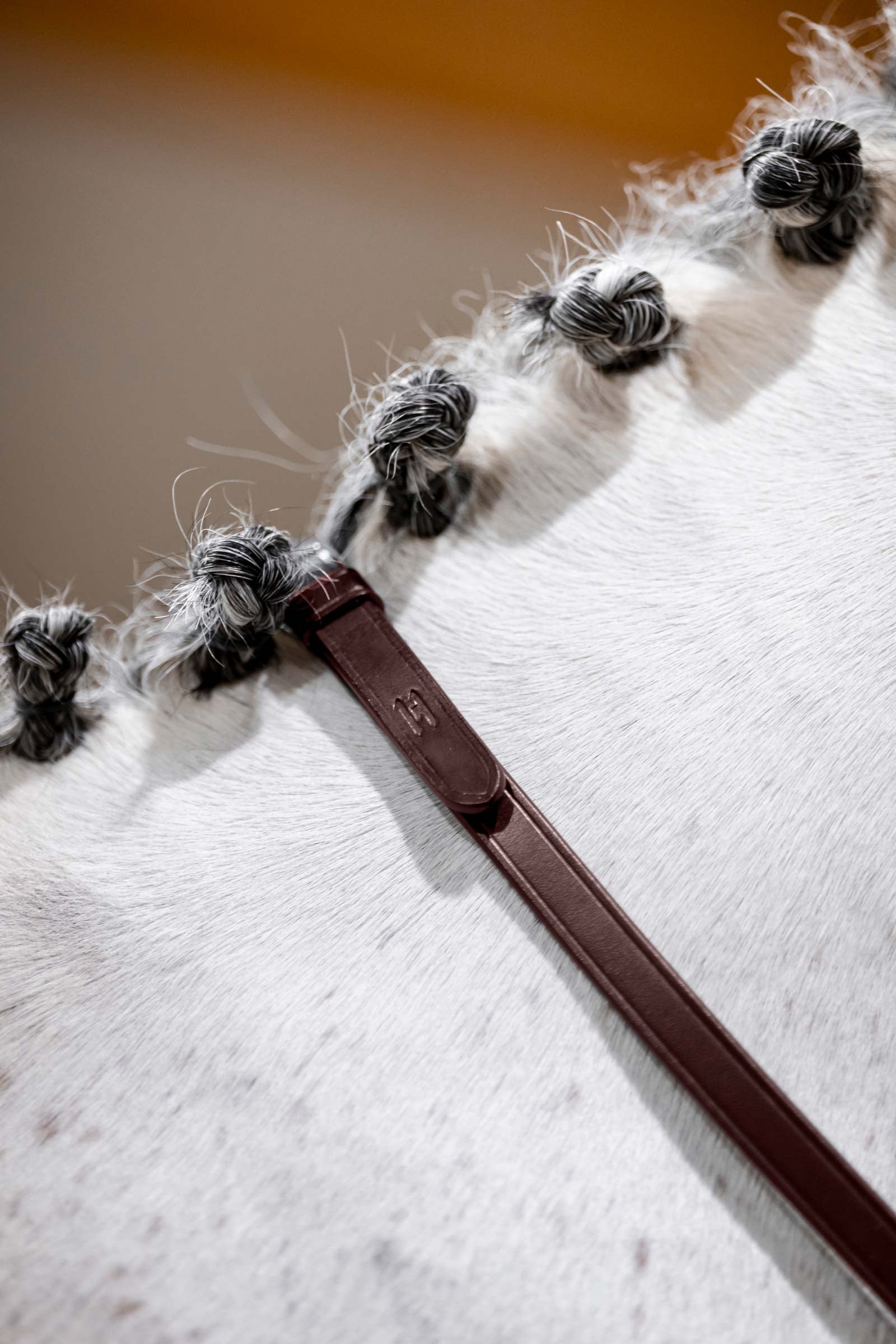 Horseware Kandarenzügel Trensenzäume & Zügel