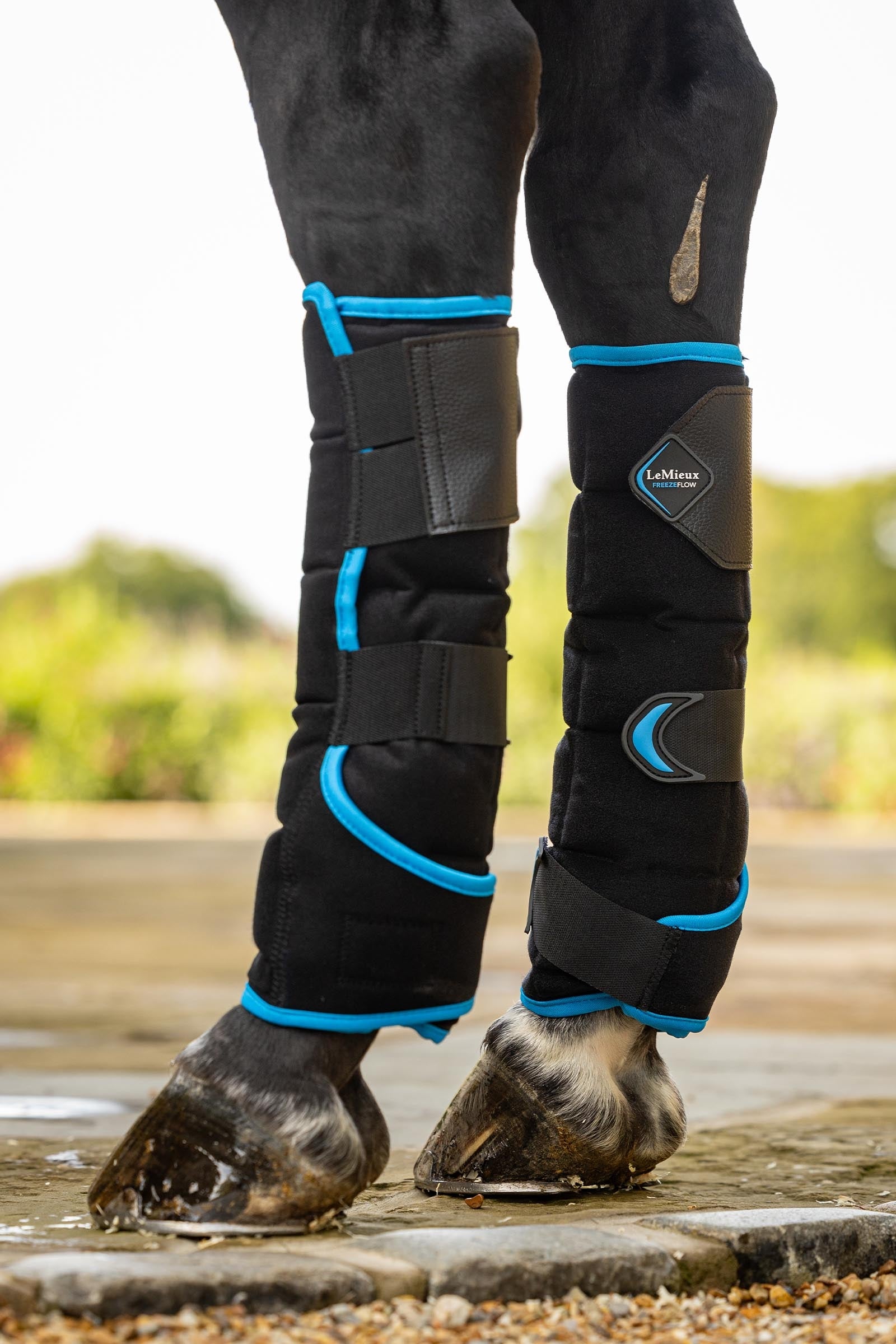 LeMieux Freeze Flow Kühlgamasche hinten Leg & Hoof Protection