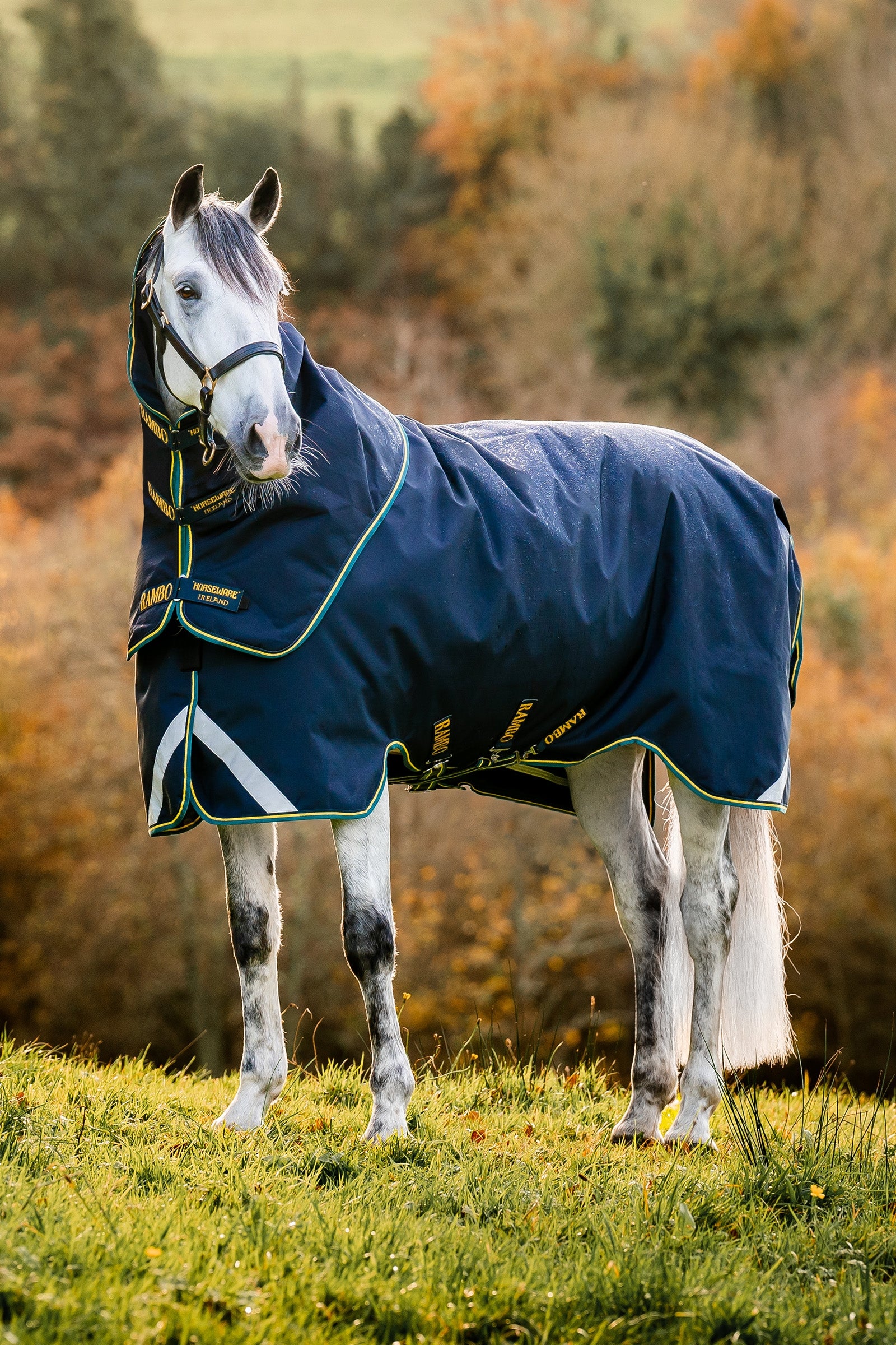 Horseware Rambo Duo Force 2.0 Turnout (100g Außendecke mit 100g Liner und 300g Liner) Pferdedecken
