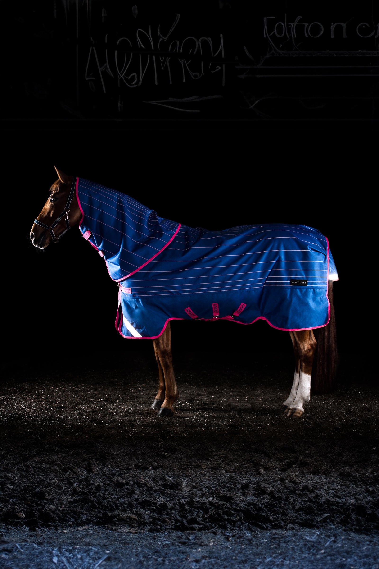 Horseware Amigo Bravo 12 Reflectech Plus Weidedecke mit abnehmbarem Halsteil, 250g Pferdedecken