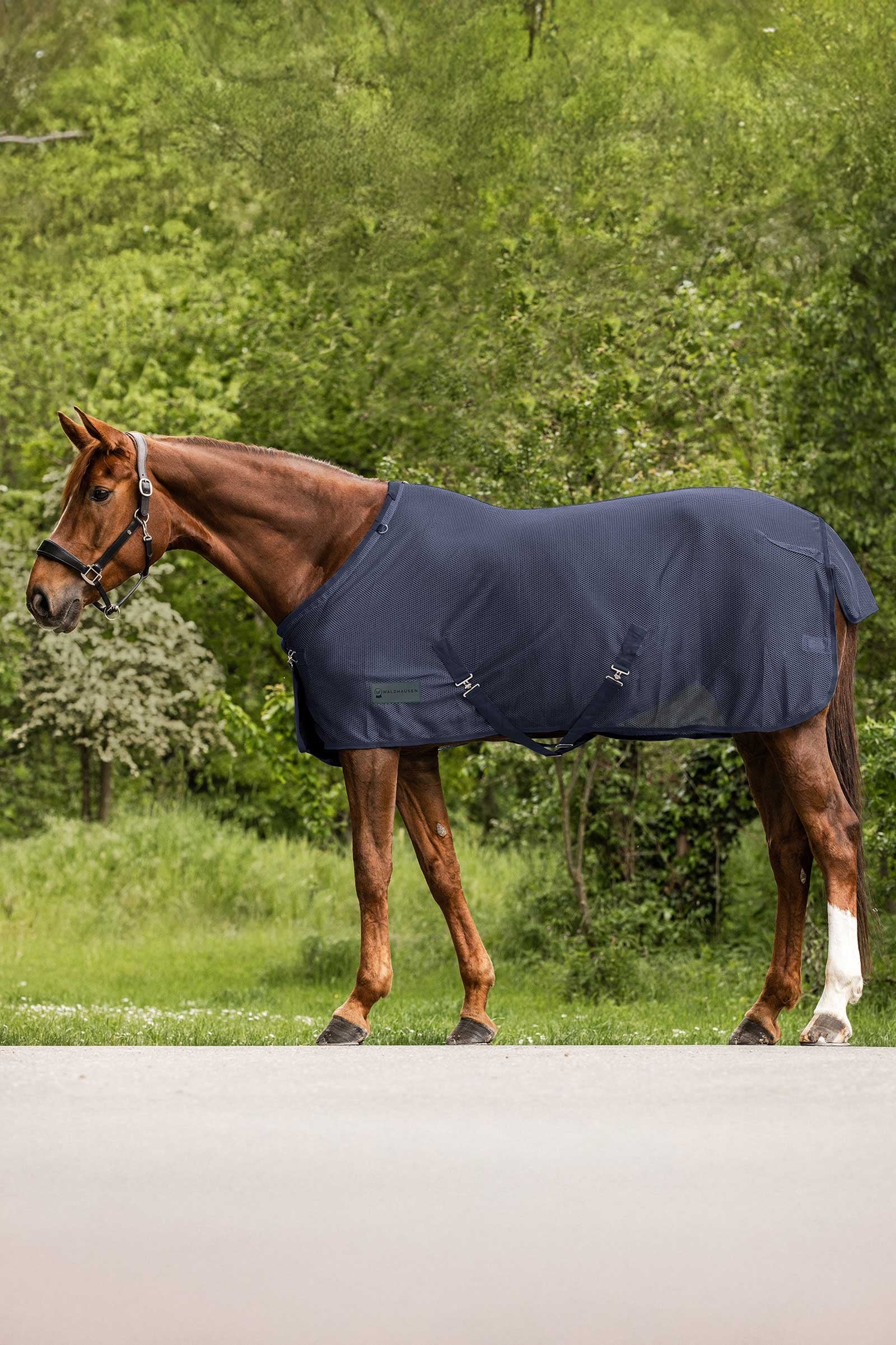 Waldhausen Comfort Fly Rug Horse Rugs