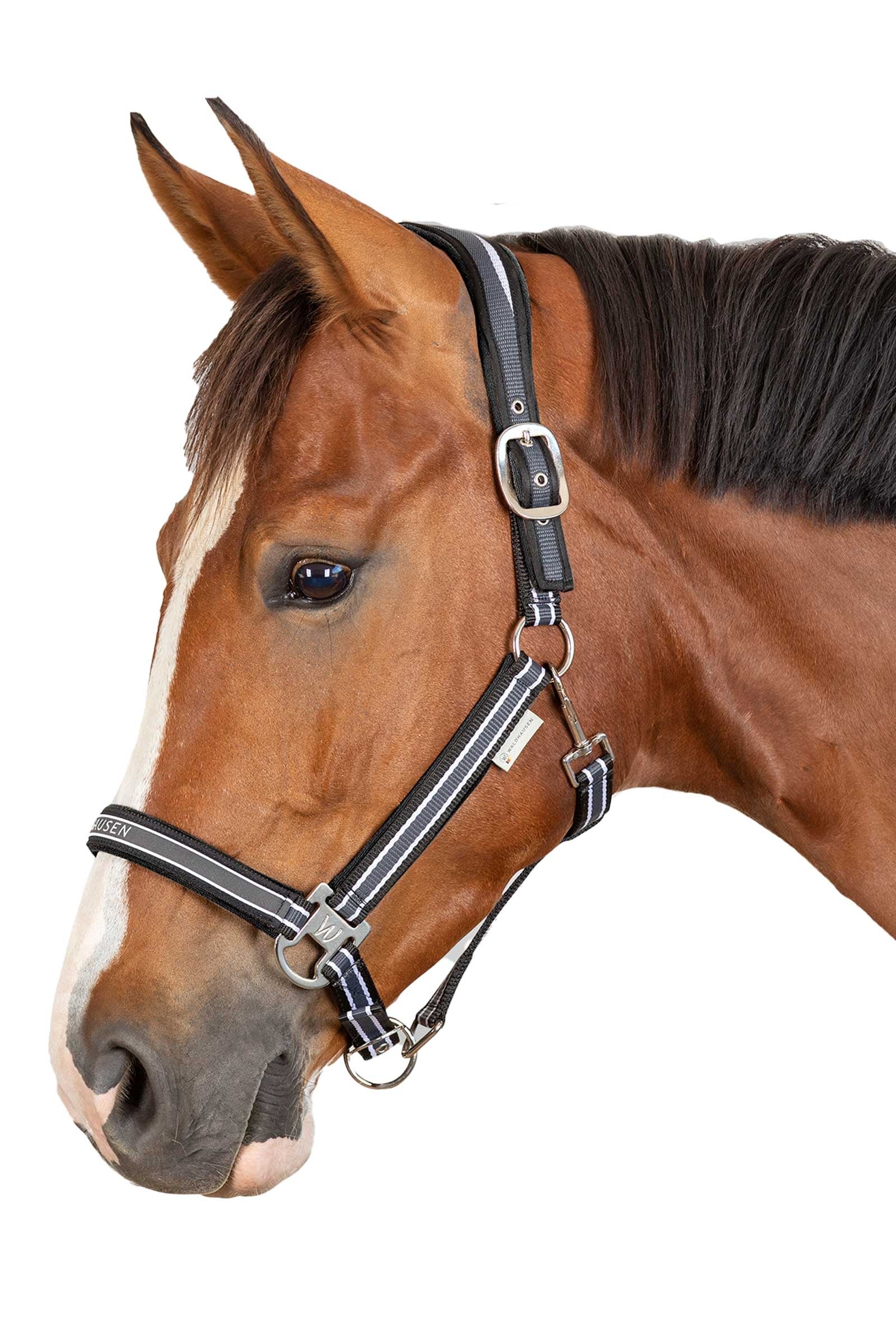 Waldhausen Athletic Halter Halters & Leads
