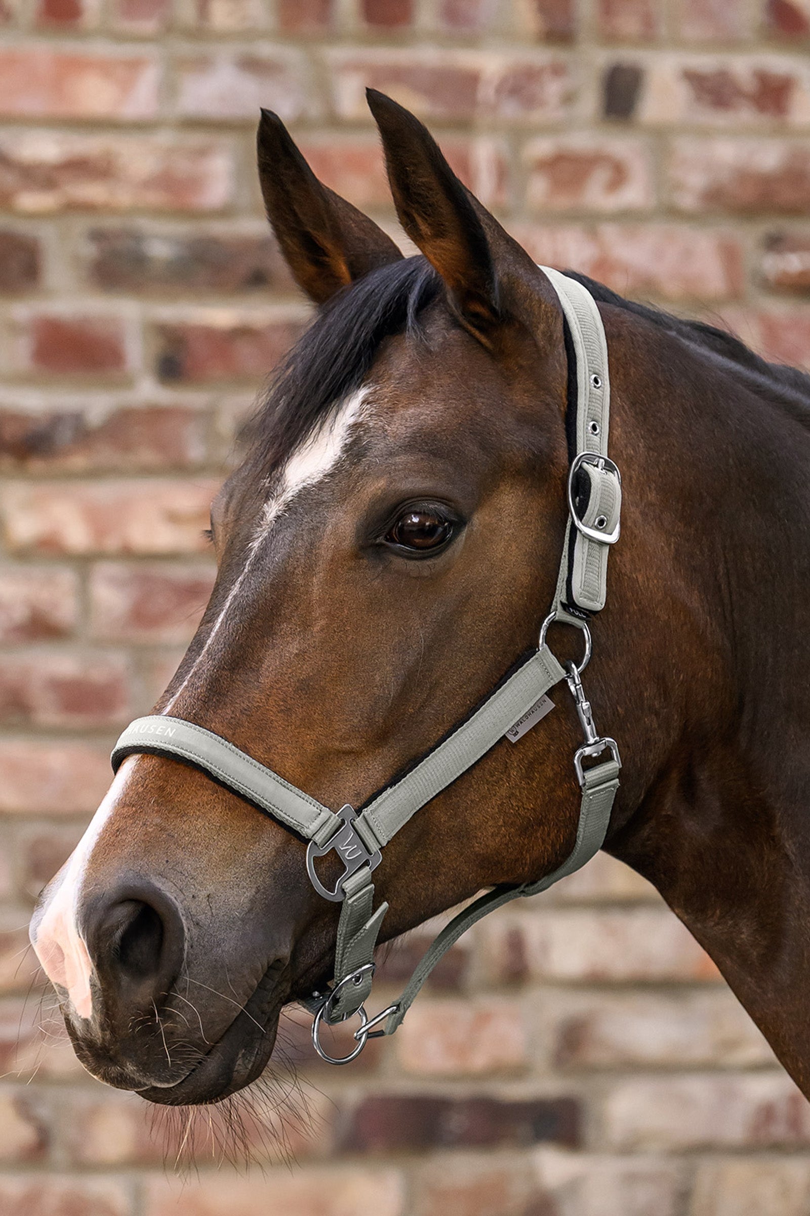 Waldhausen Athletic Halter Halters & Leads