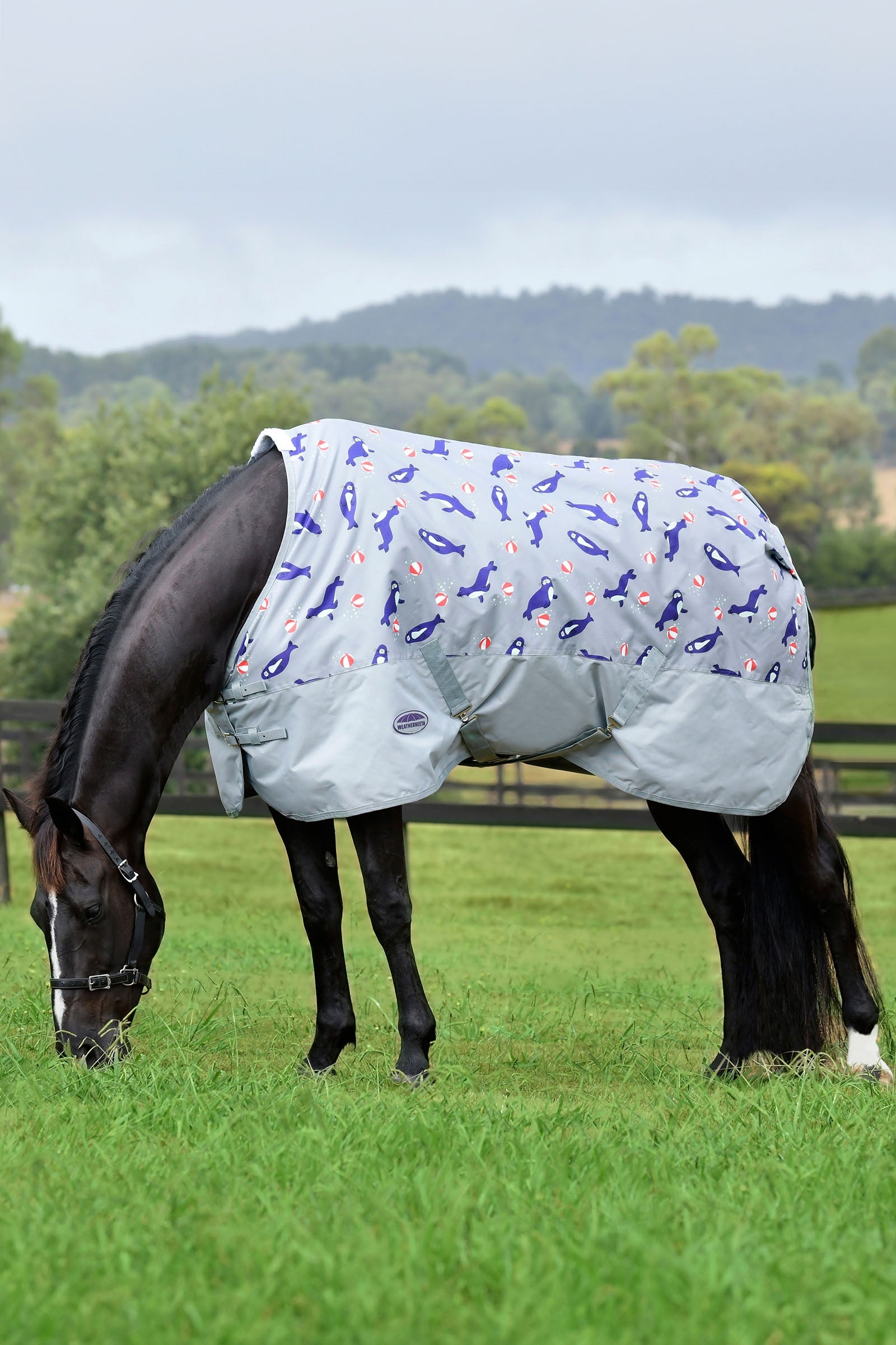 Weatherbeeta Comfitec Tyro Standard Neck Lite Plus, 50g Horse Rugs