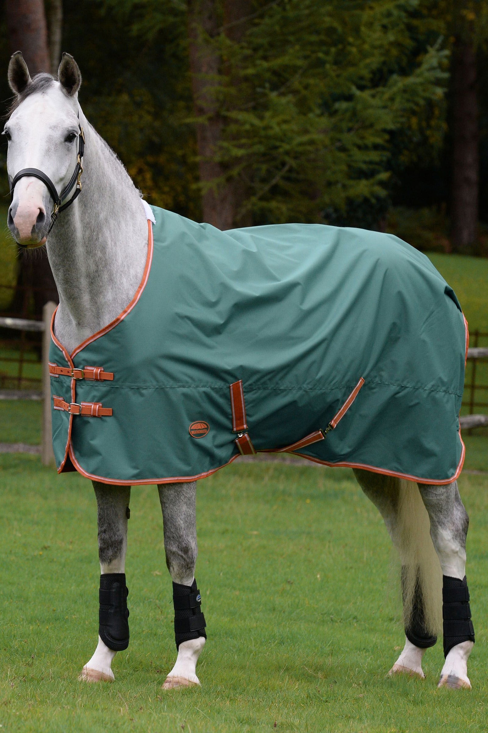 Weatherbeeta Comfitec Tyro mit Standard-Halsausschnitt Lite Plus, 50g Pferdedecken