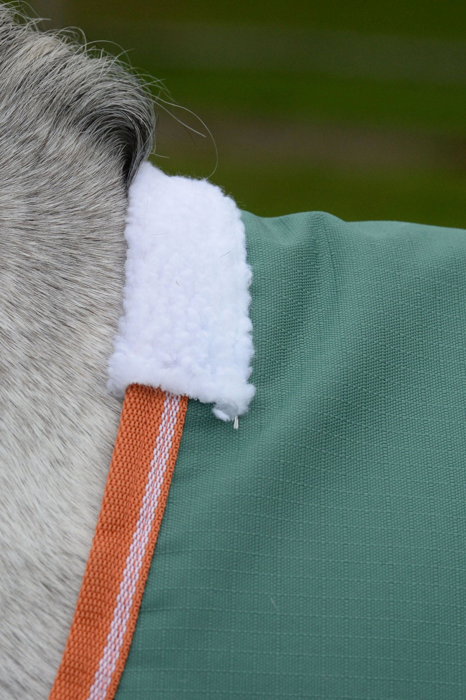 Weatherbeeta Comfitec Tyro Standard Neck Lite Plus, 50g Horse Rugs