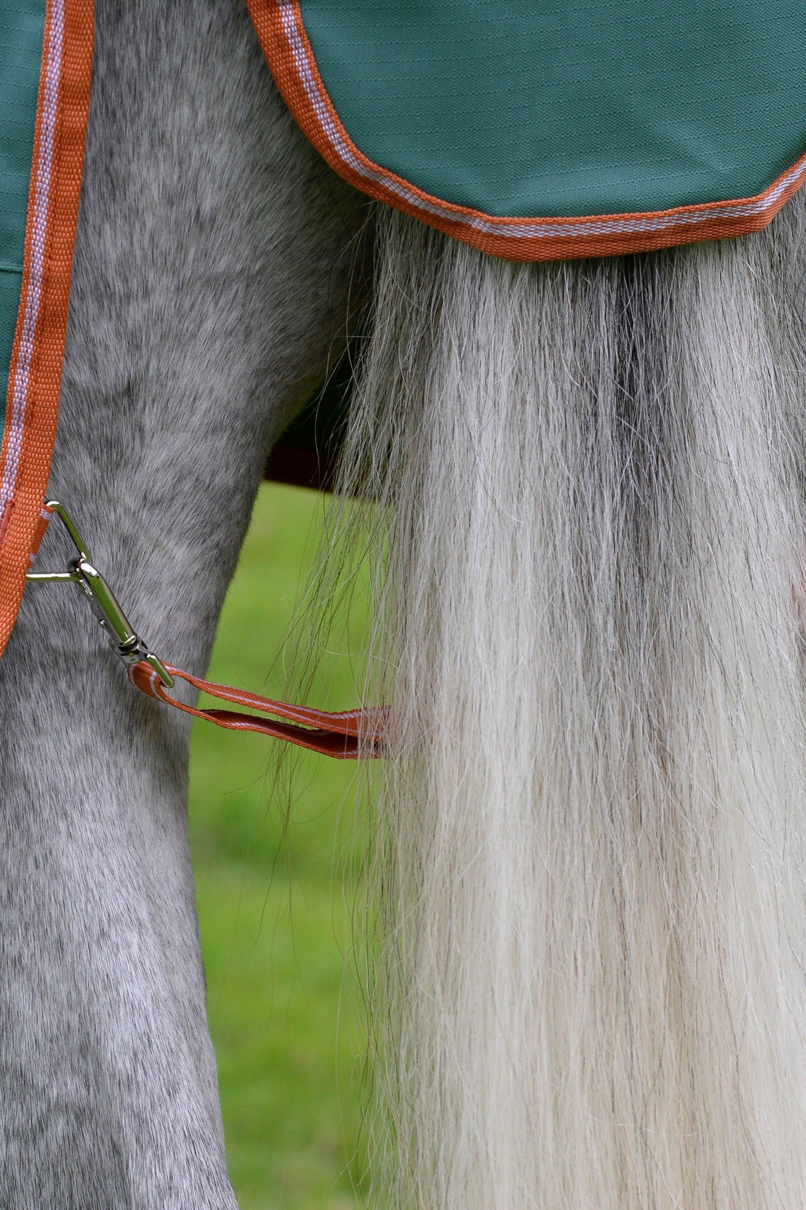 Weatherbeeta Comfitec Tyro Standard Neck Lite Plus, 50g Horse Rugs