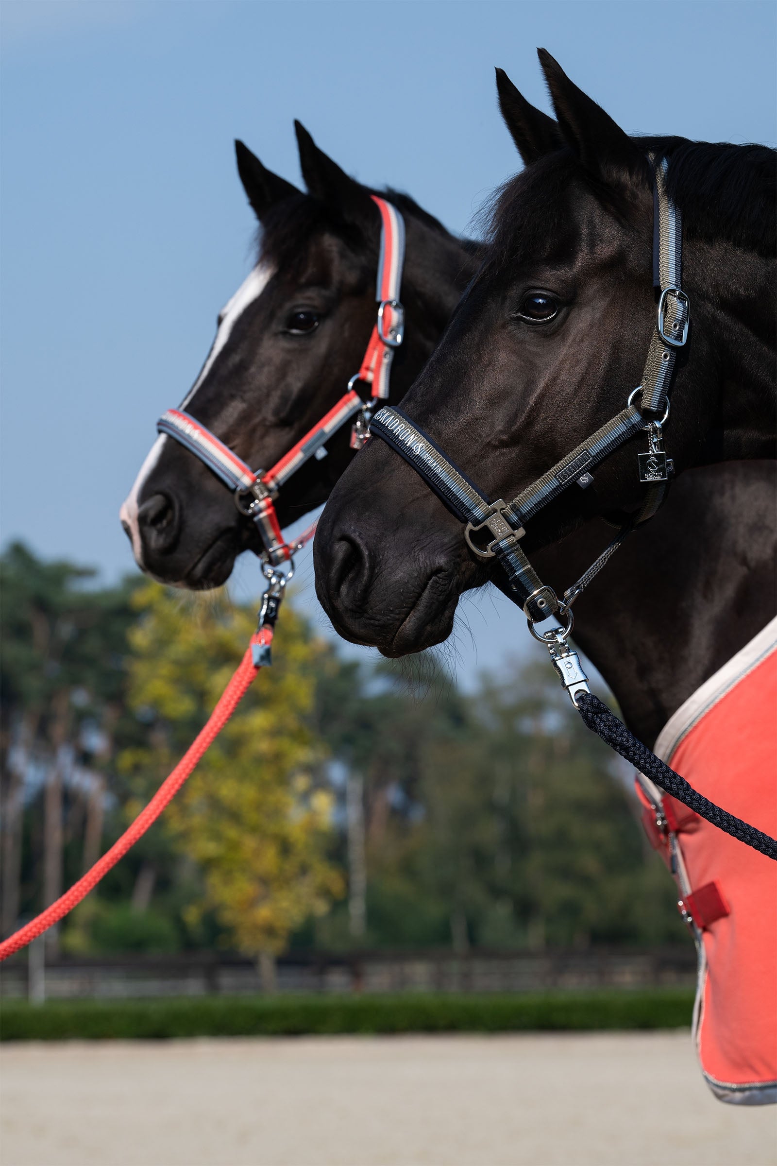 Eskadron Classic Sports SS25 Double Pin Headcollar Halters & Leads
