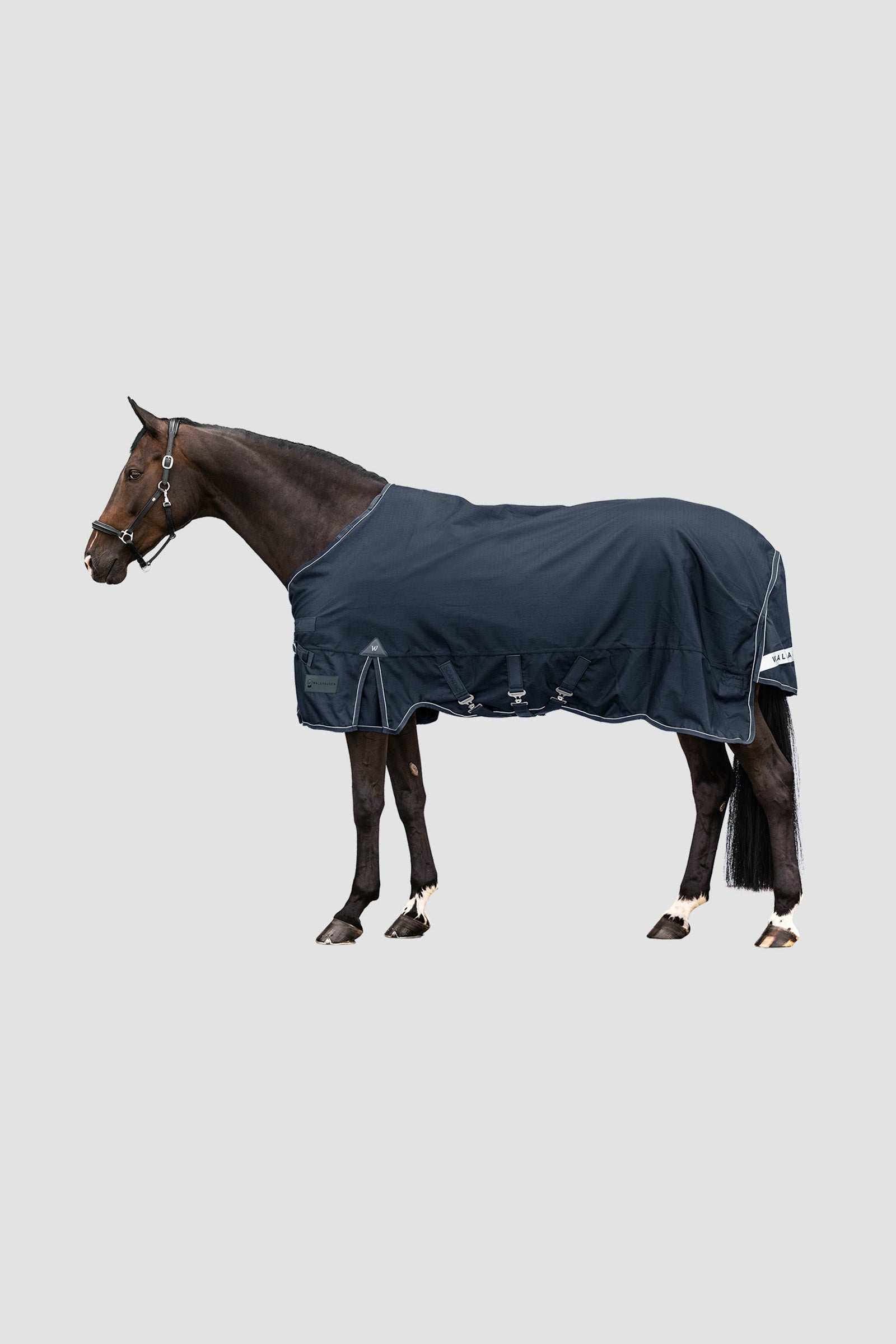 Waldhausen Outdoor Rug Scandic Multi-Layer 250 g/100 g Pferdedecken