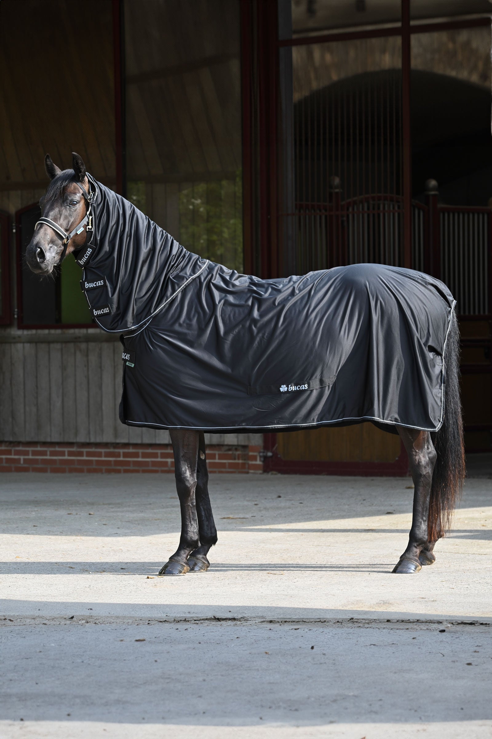 Bucas Power Abschwitzdecke + Halsteil Set Pferdedecken