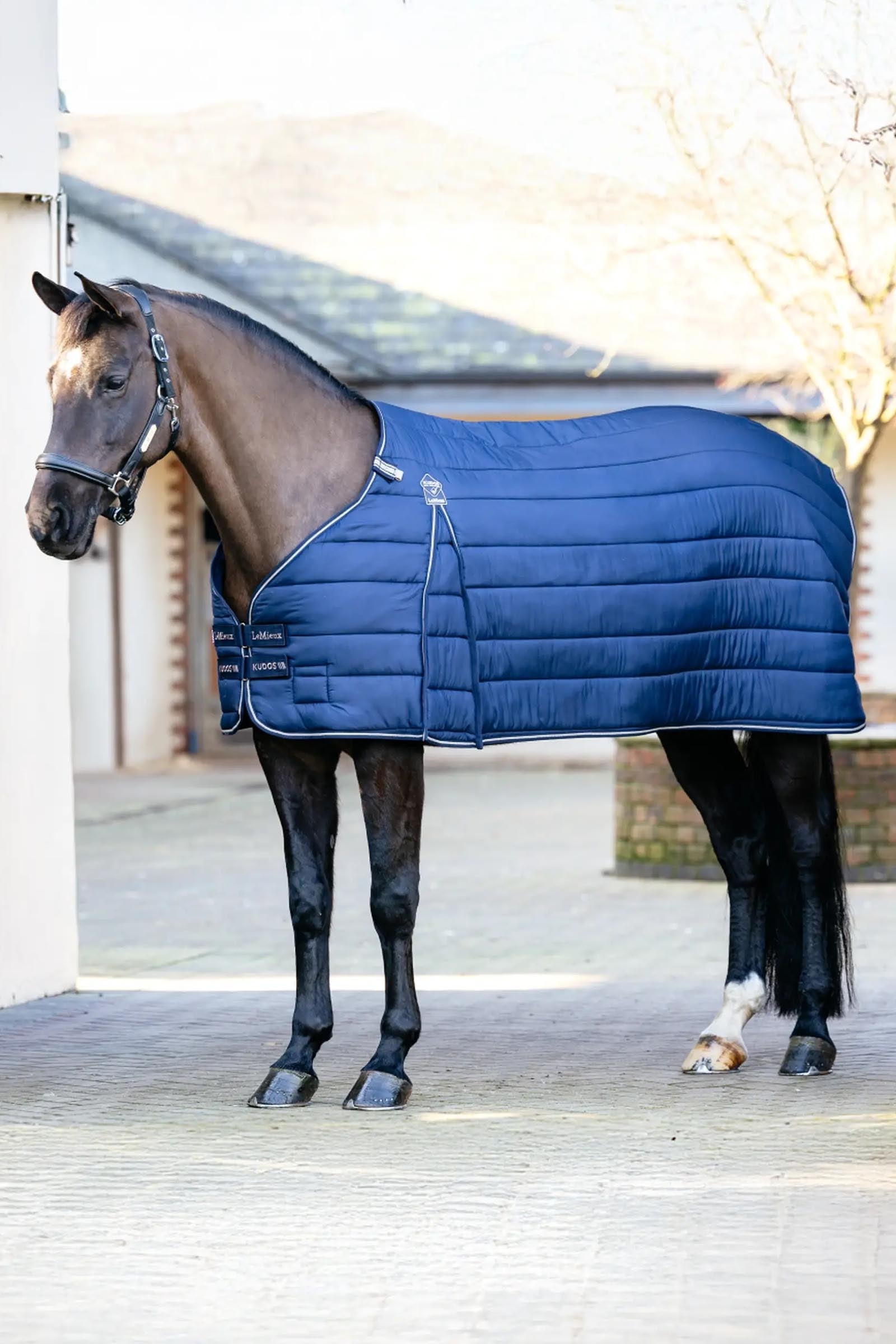 LeMieux Kudos Rug Liner, 50 g Horse Rugs