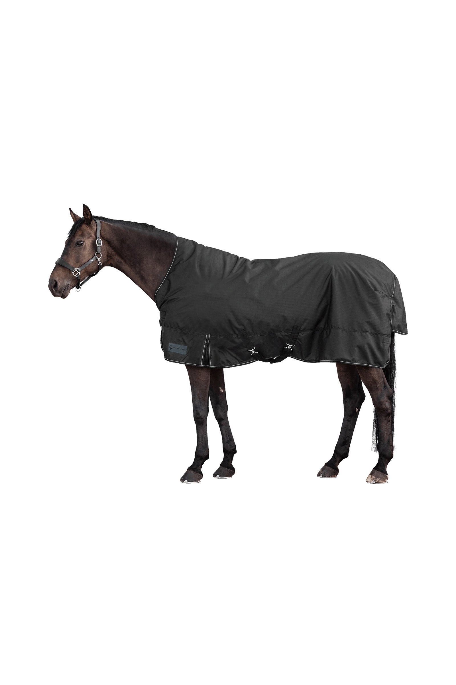 Waldhausen NORDIC 600D High Neck Outdoor Rug, 100 g Horse Rugs