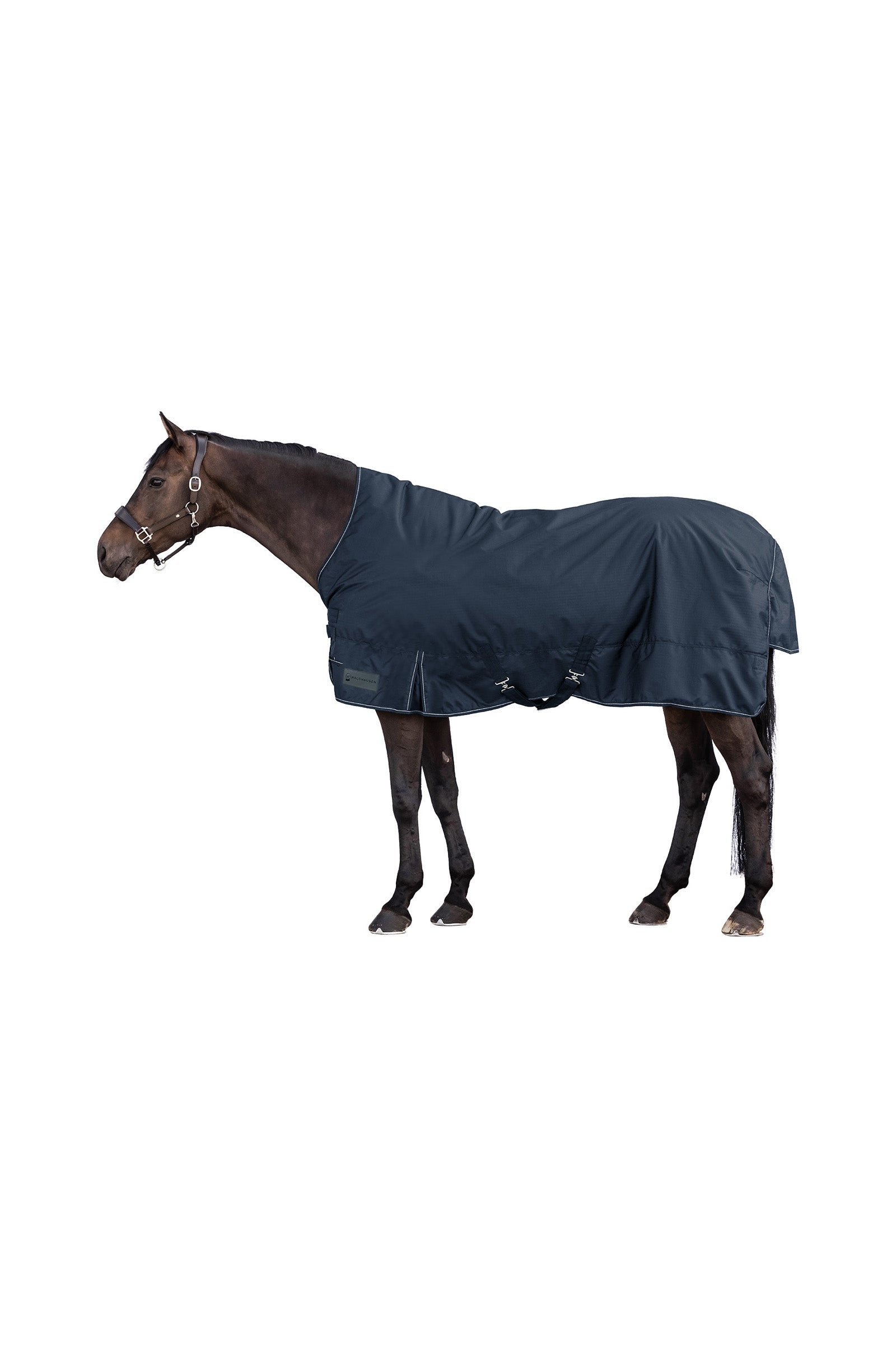 Waldhausen NORDIC 600D Outdoordecke mit High Neck, 100 g Pferdedecken
