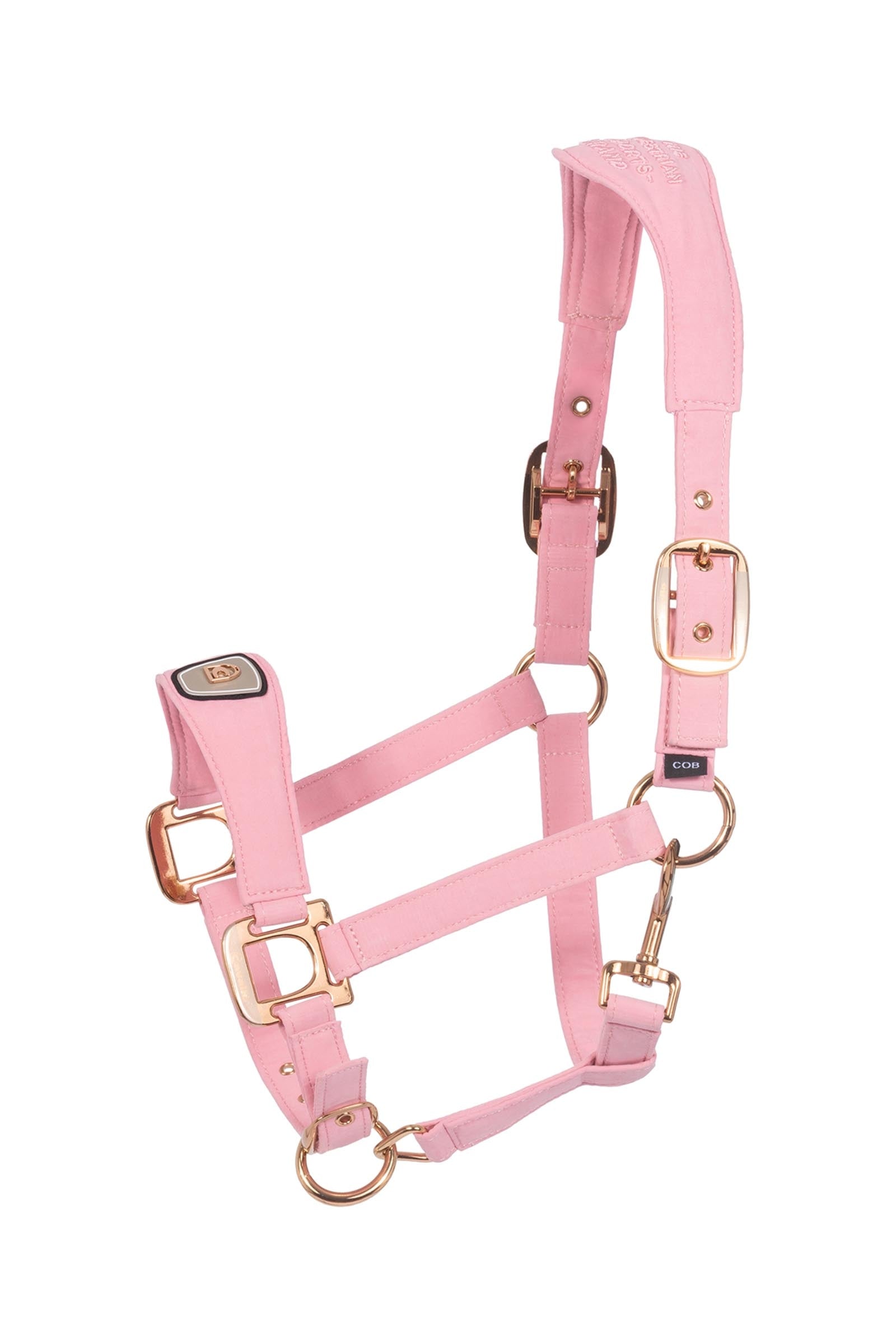 Cavallo CAVALPAWEL Halter Halters & Leads