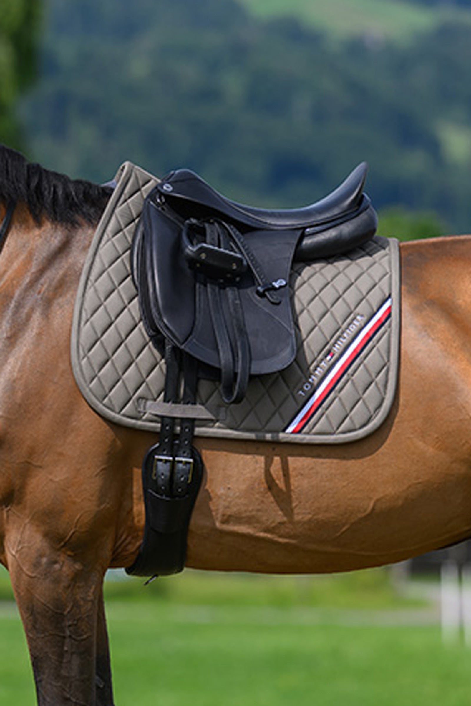 Tommy Hilfiger Equestrian Stanford Dressurschabracke Schabracken