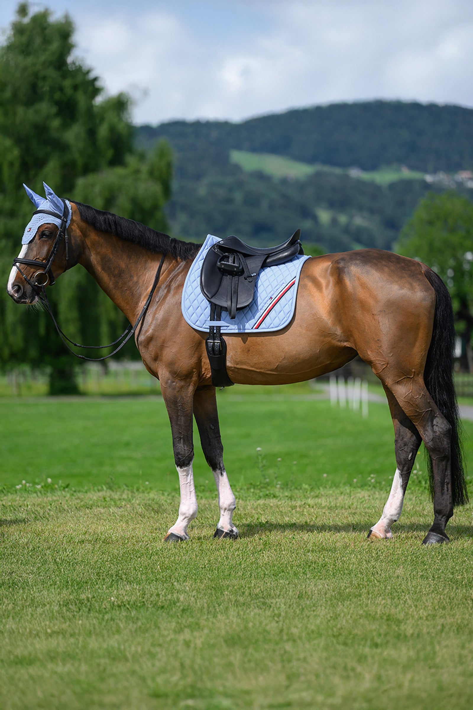 Tommy Hilfiger Equestrian Stanford Dressage Saddlepad Saddle Pads