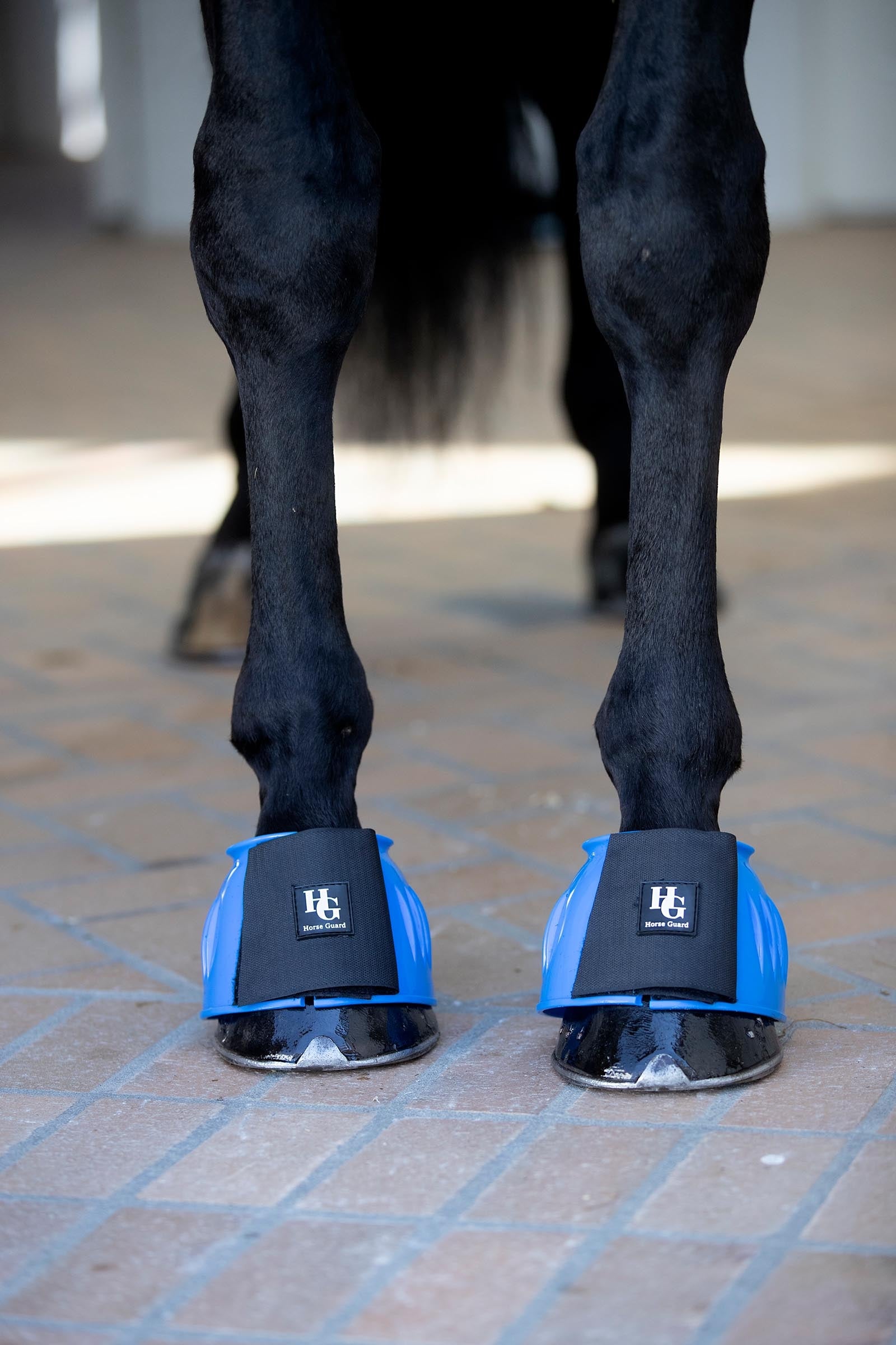 Horse Guard HorseGuard Tamsin Bell Boots Leg & Hoof Protection
