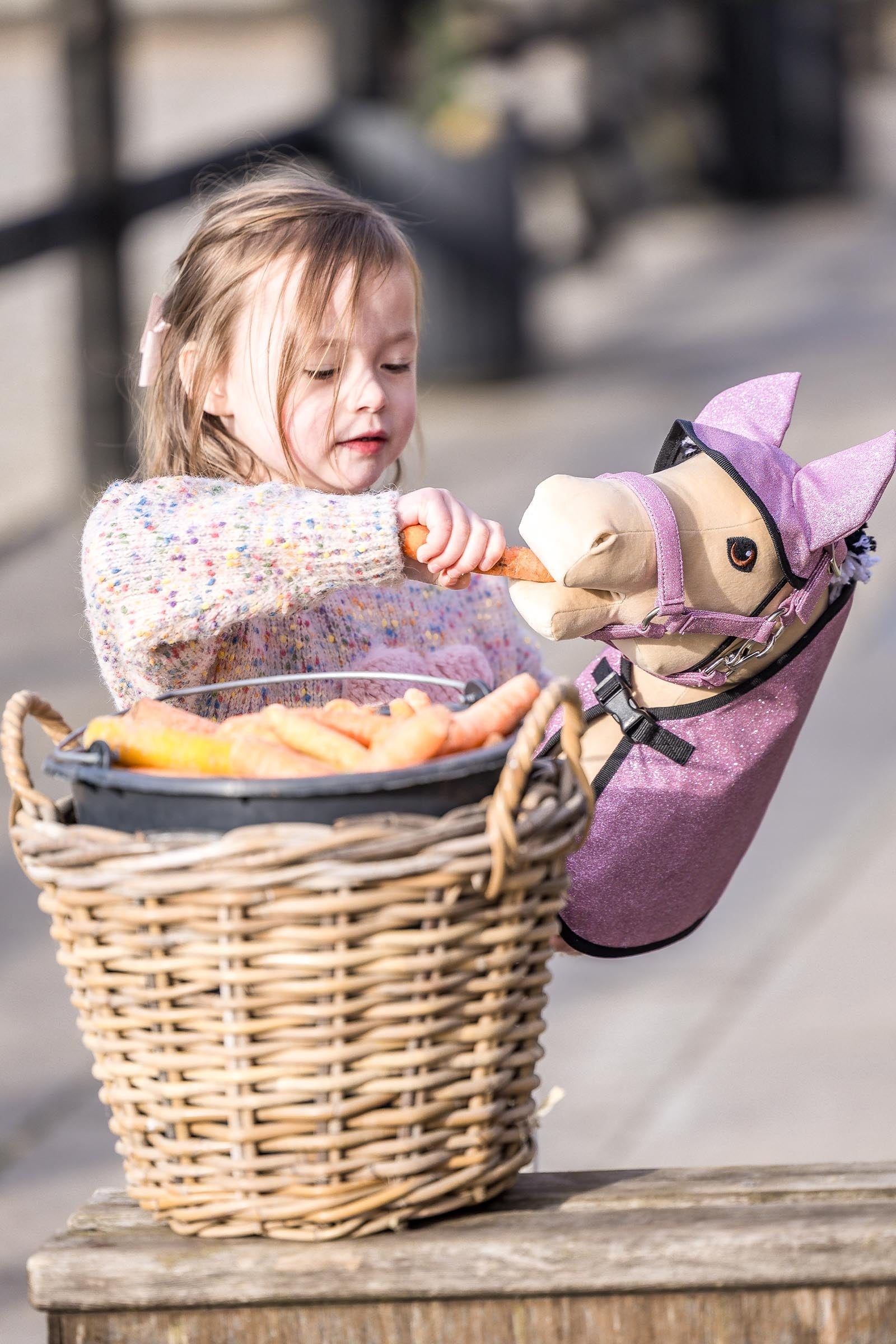 My Hobby Horse Rug & Fly Veil Gifts & Toys