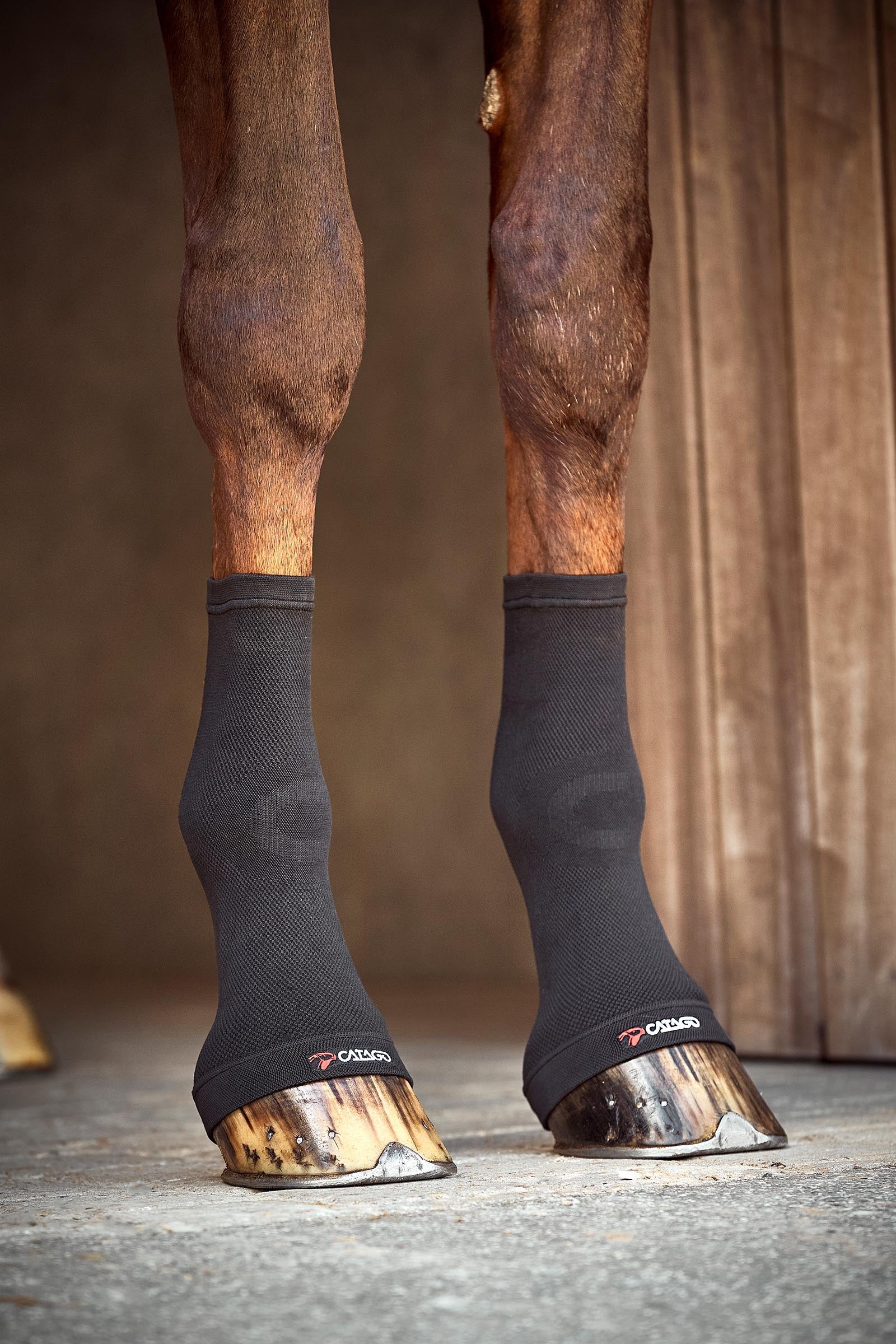 Catago FIR-Tech Kompressions Fesselgelenk Socken Leg & Hoof Protection