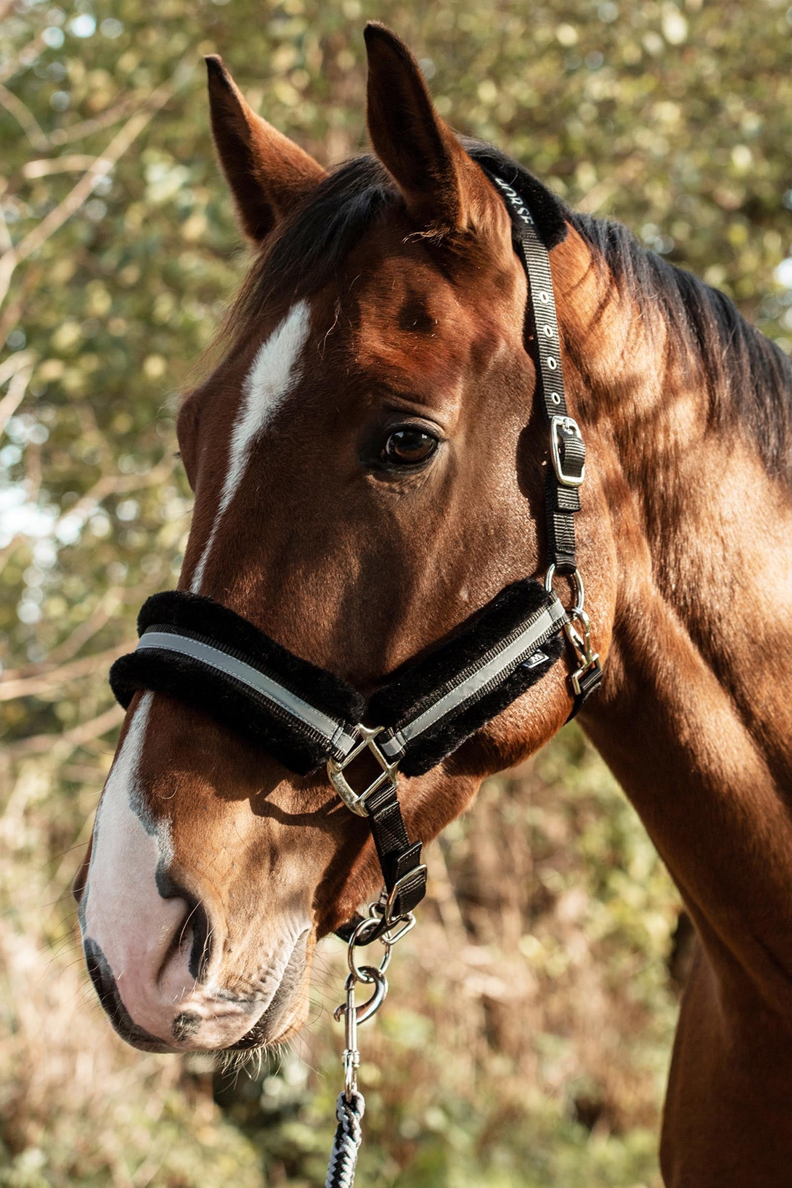 Mountain Horse Adjustable Halter With Faux Fur Halfter & Stricke