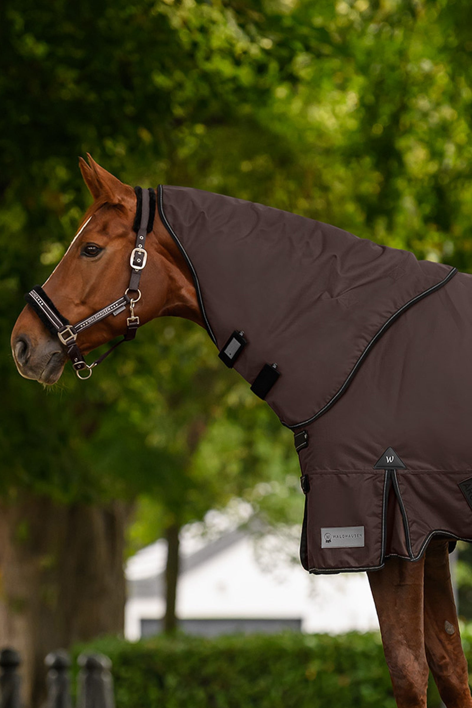 Waldhausen Outdoor Rug Neck Piece 600D, 100 g Horse Rugs