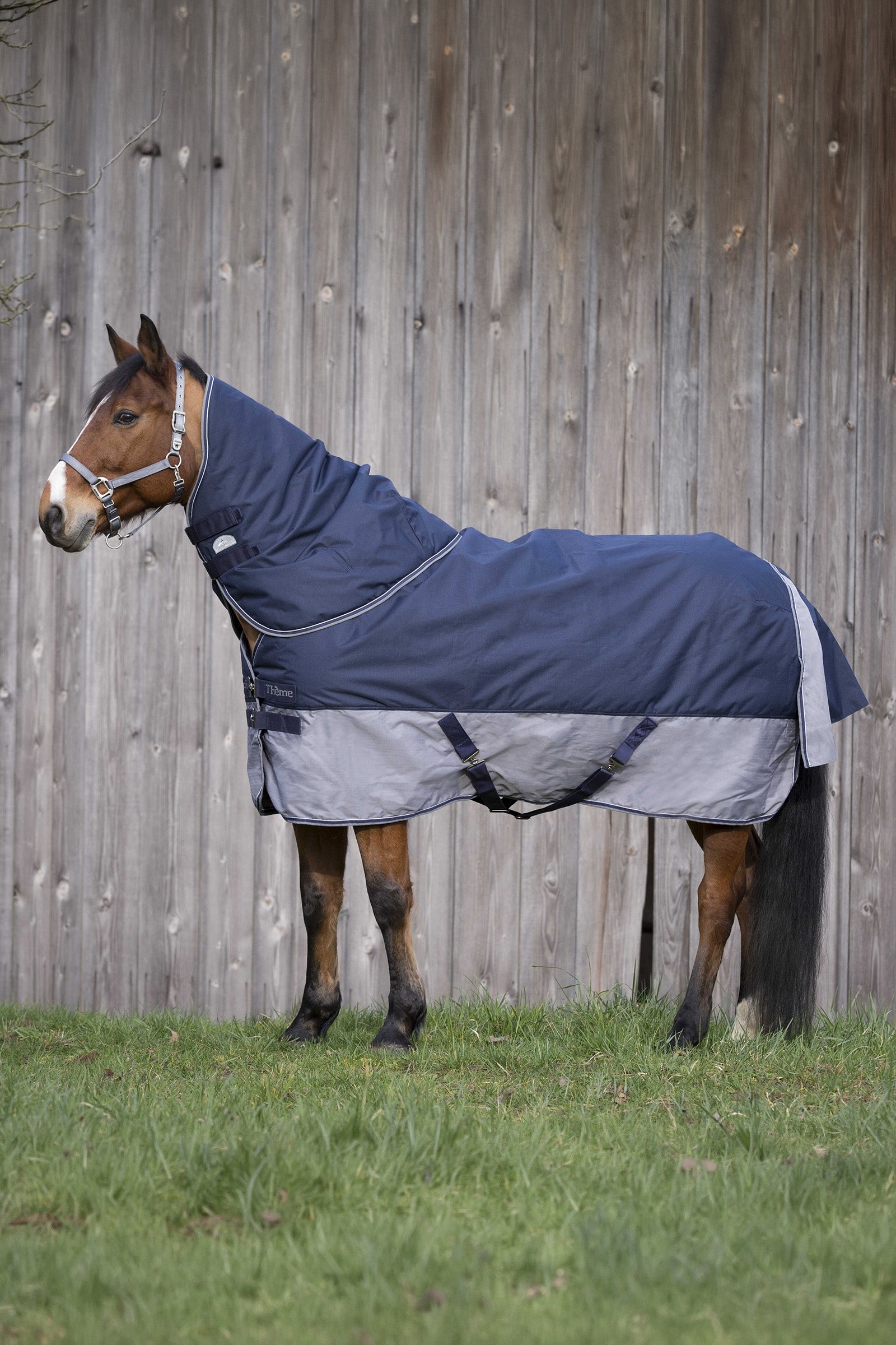 Equi Theme EQUITHÈME TYREX 600D Turnout Rug, 50 g Horse Rugs