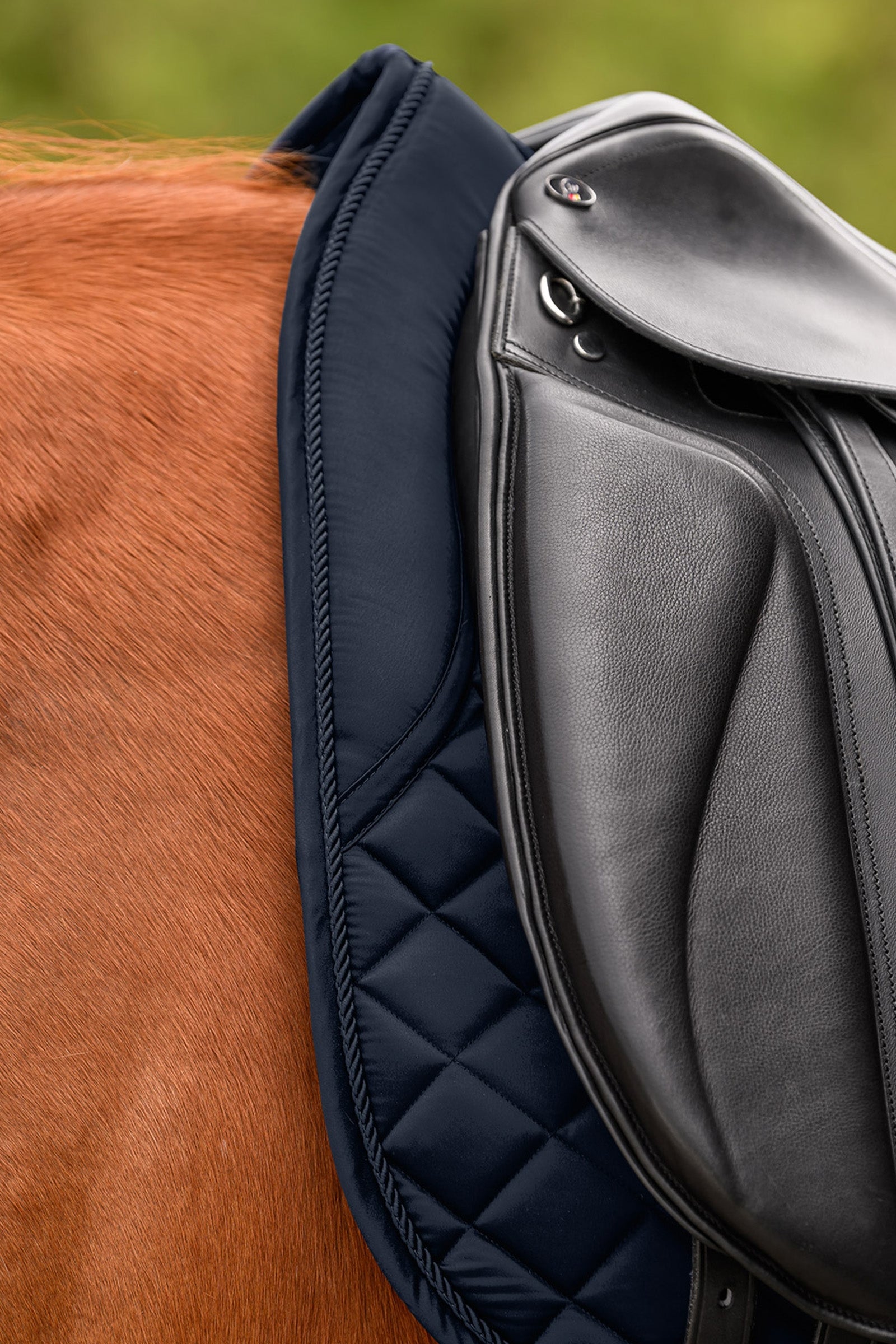 Waldhausen Nepal Dresssage Saddle Pad Saddle Pads