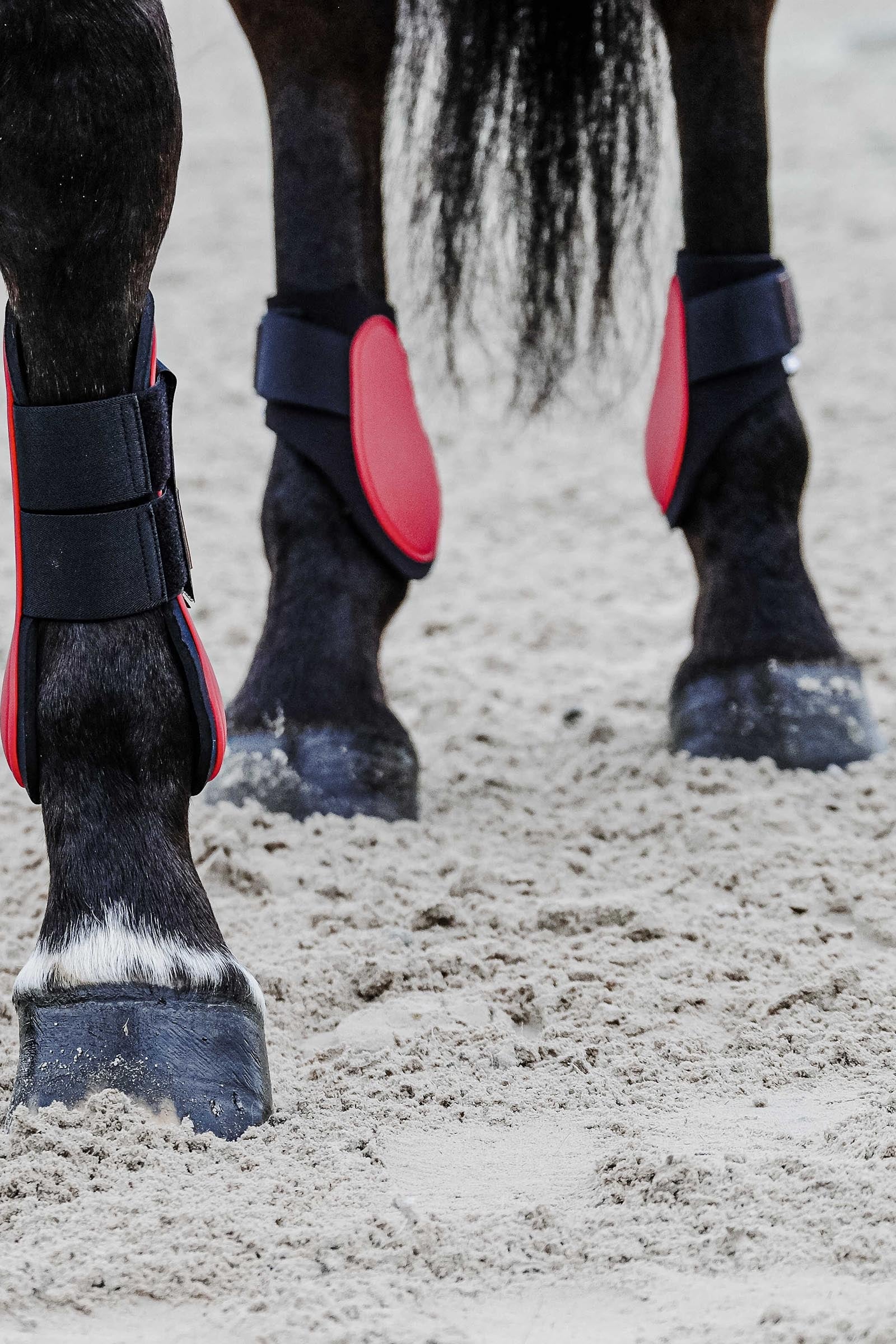 Equi Theme EQUITHÈME Tara Fetlock Boots Leg & Hoof Protection