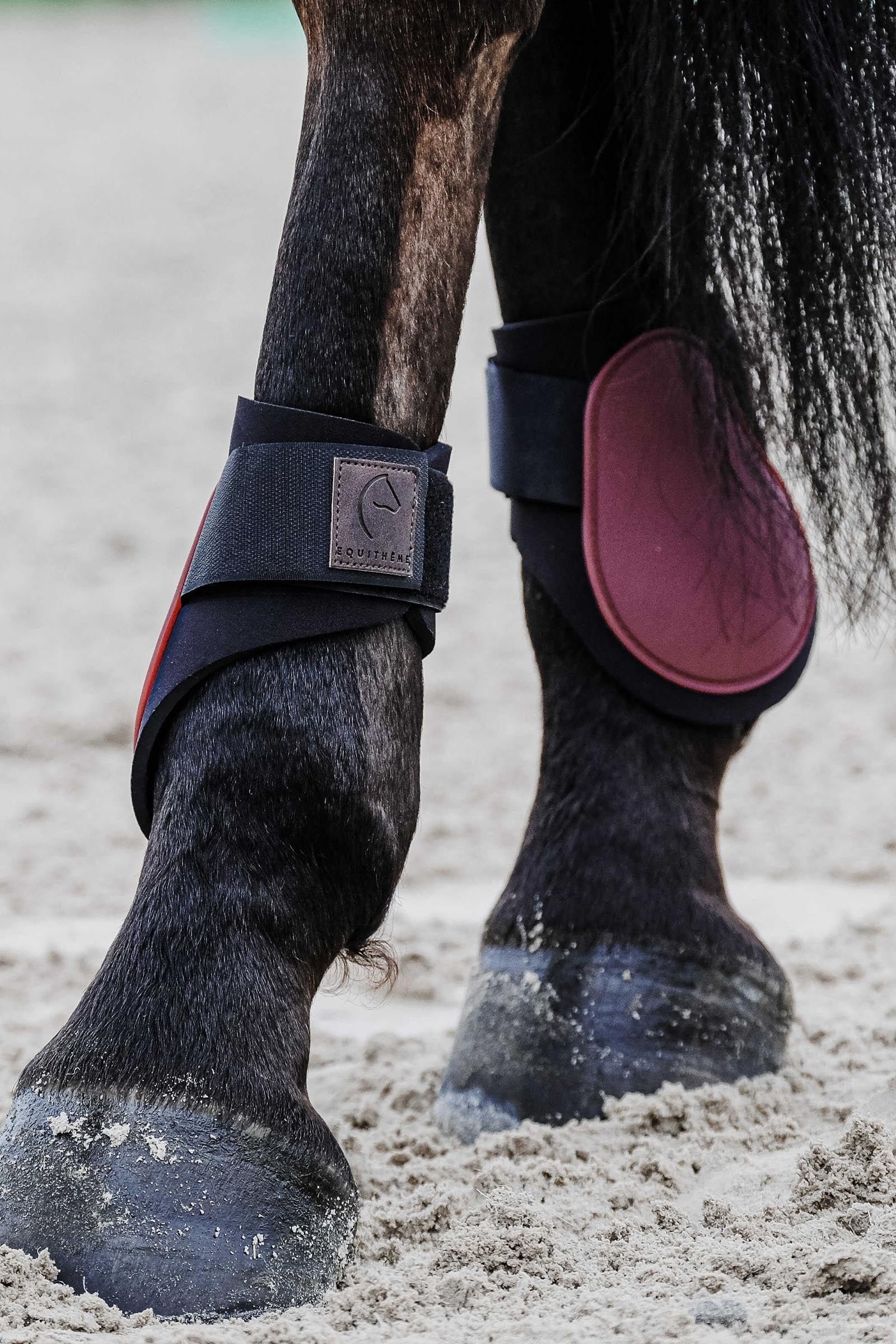 EQUITHÈME Tara Fetlock Boots Leg & Hoof Protection