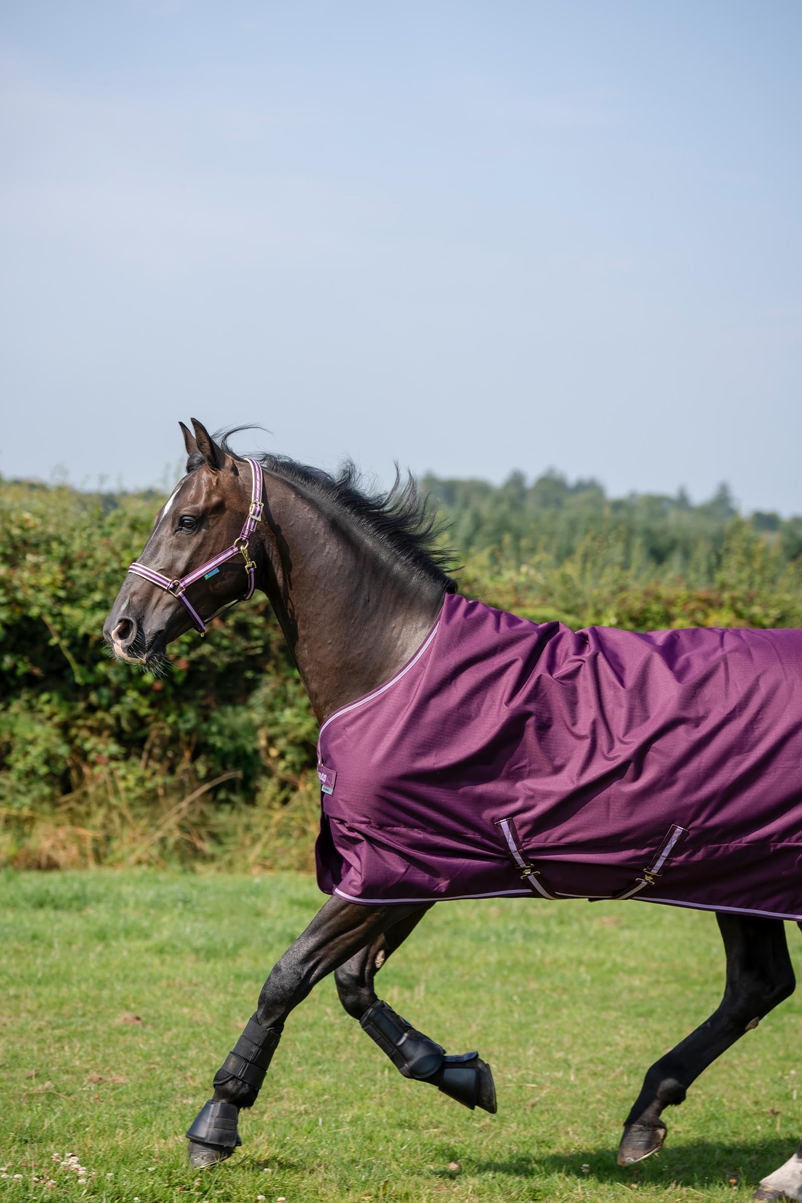 Bucas Freedom Light Pony Turnout Rug, 0g Horse Rugs
