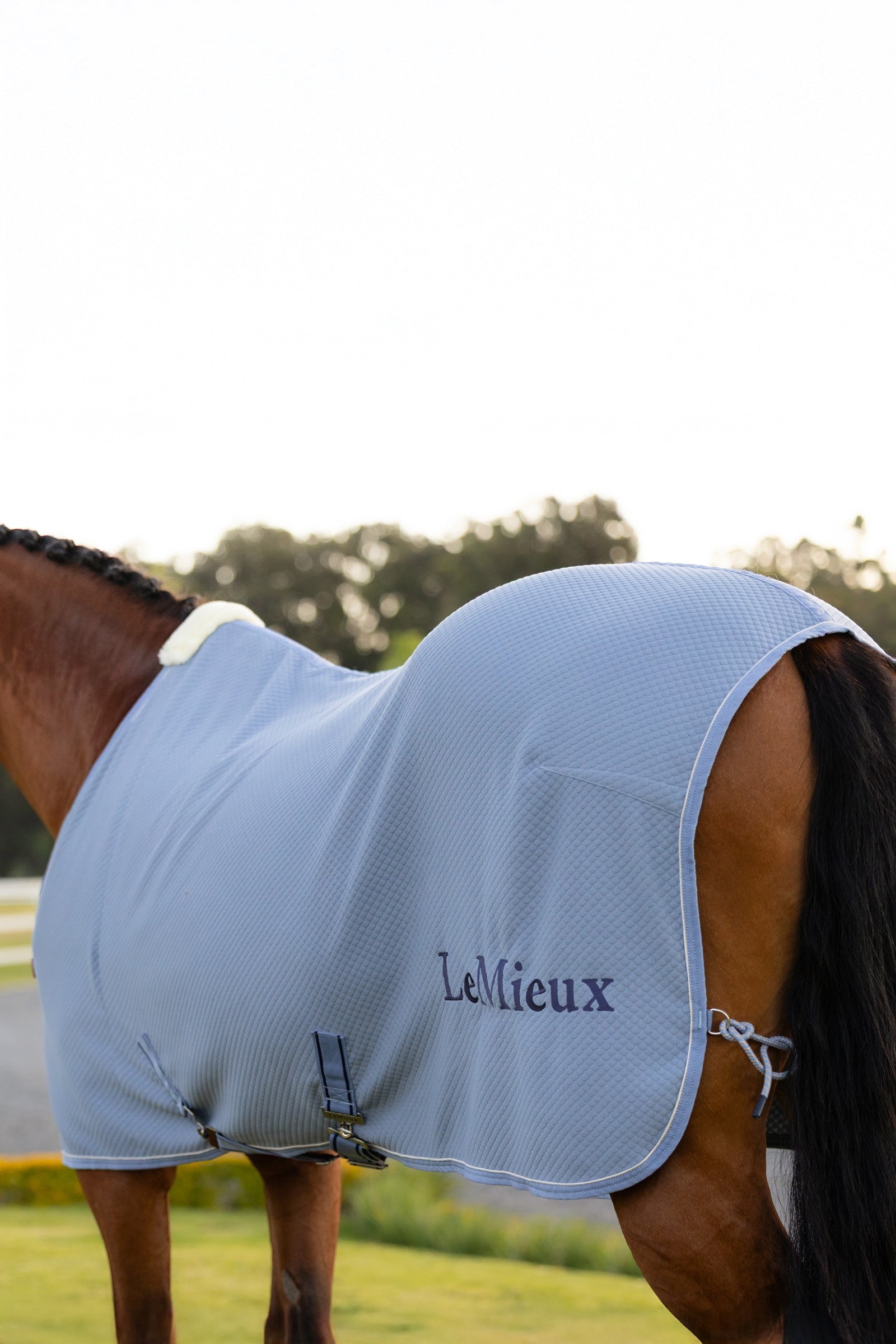 LeMieux Kudos Bamboo Cooler Horse Rugs